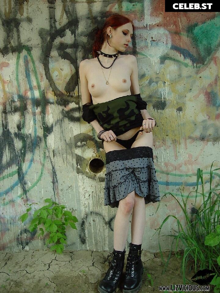 Liz Vicious Image 1479505