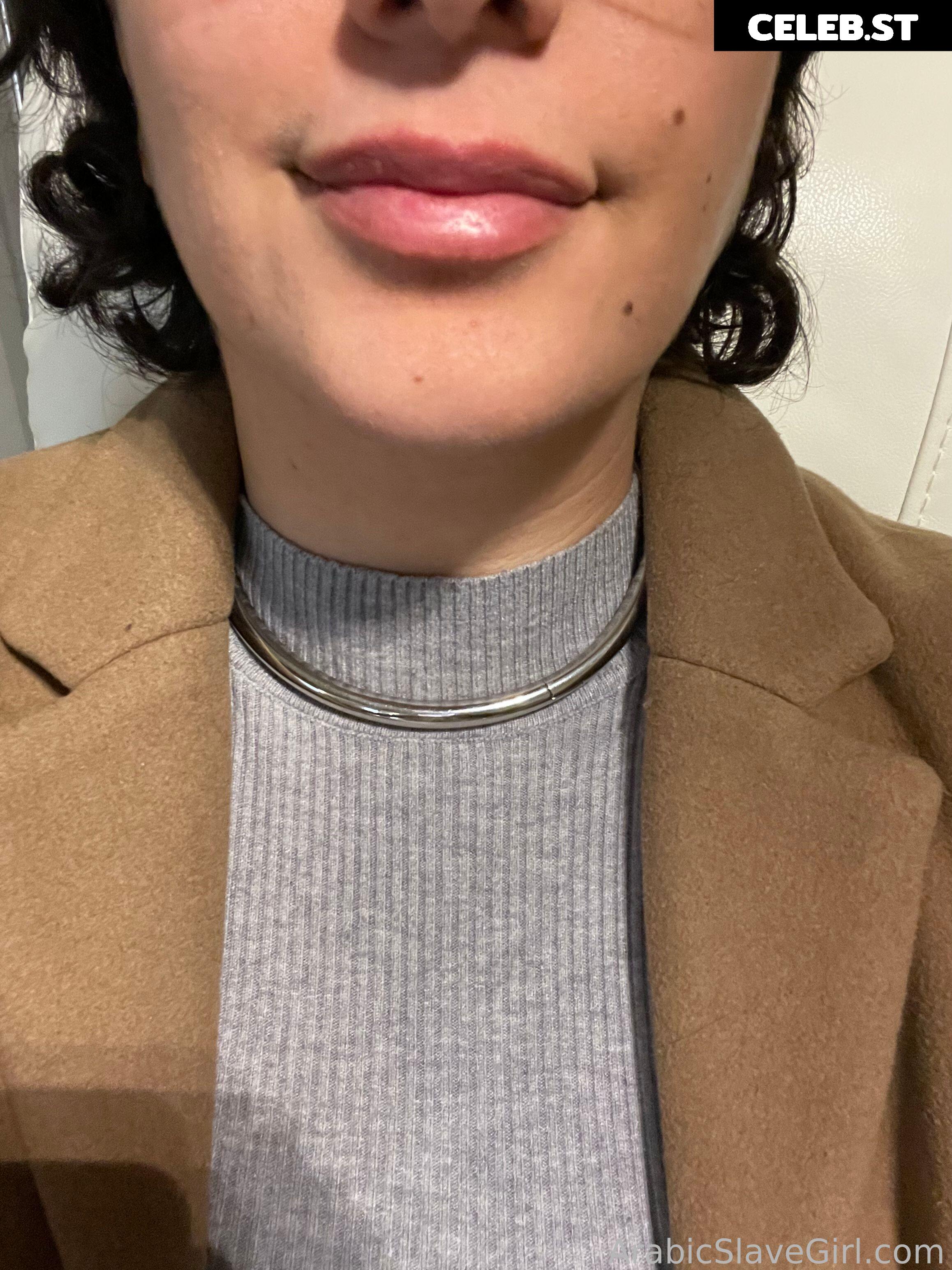 SarahArabic Image 14658207