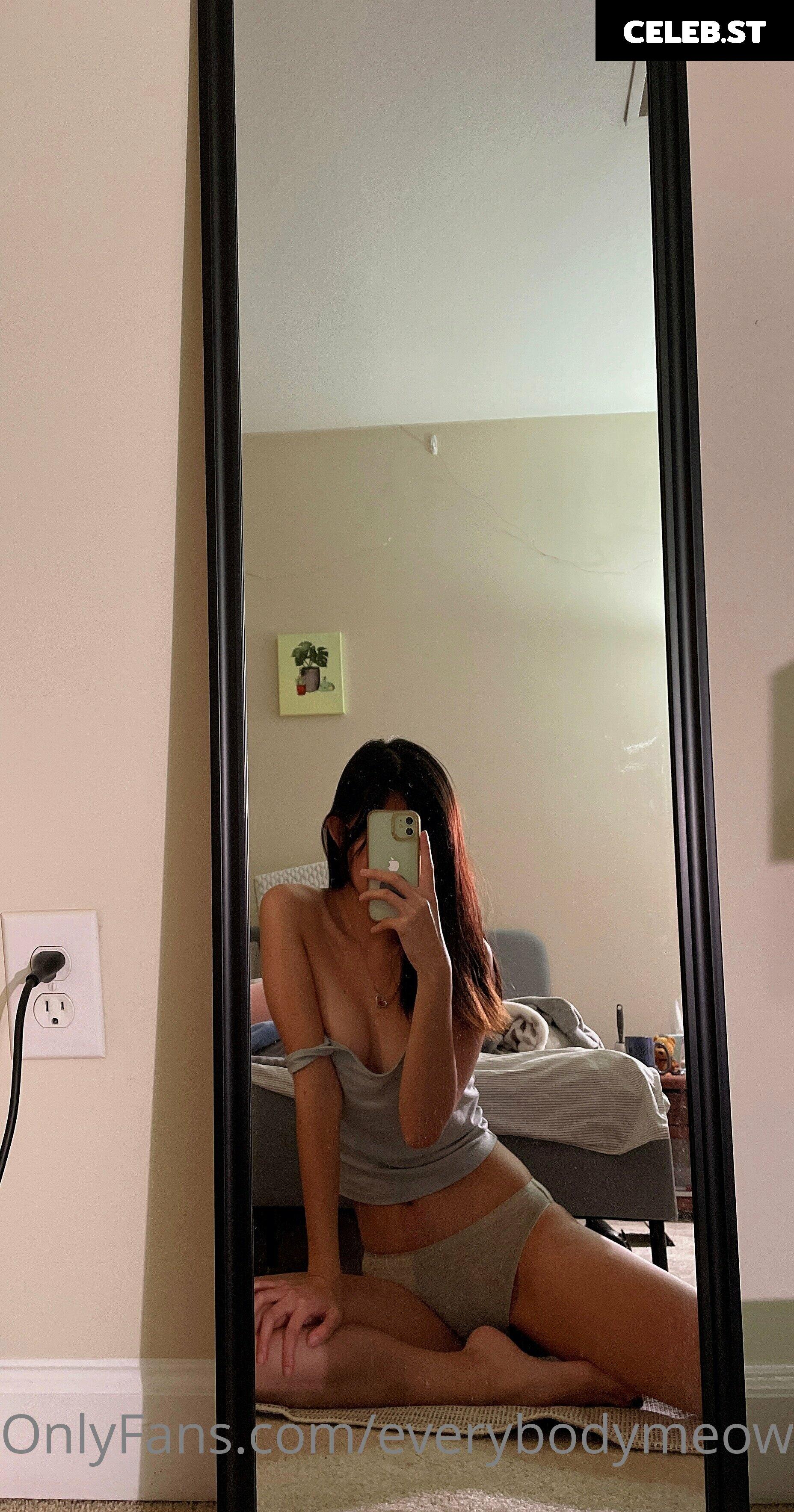 everybodymeow Image 14655597