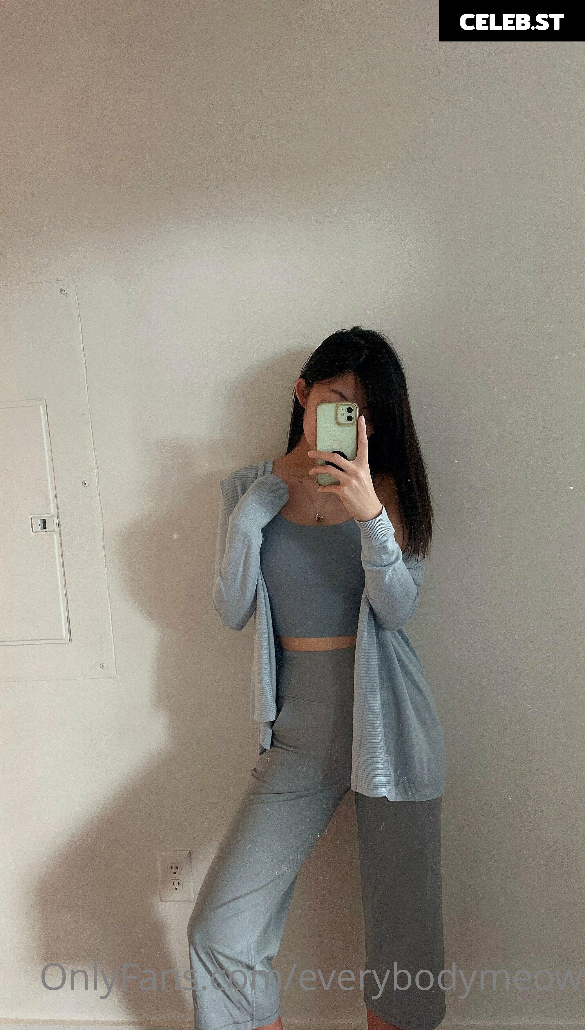 everybodymeow Image 14655581
