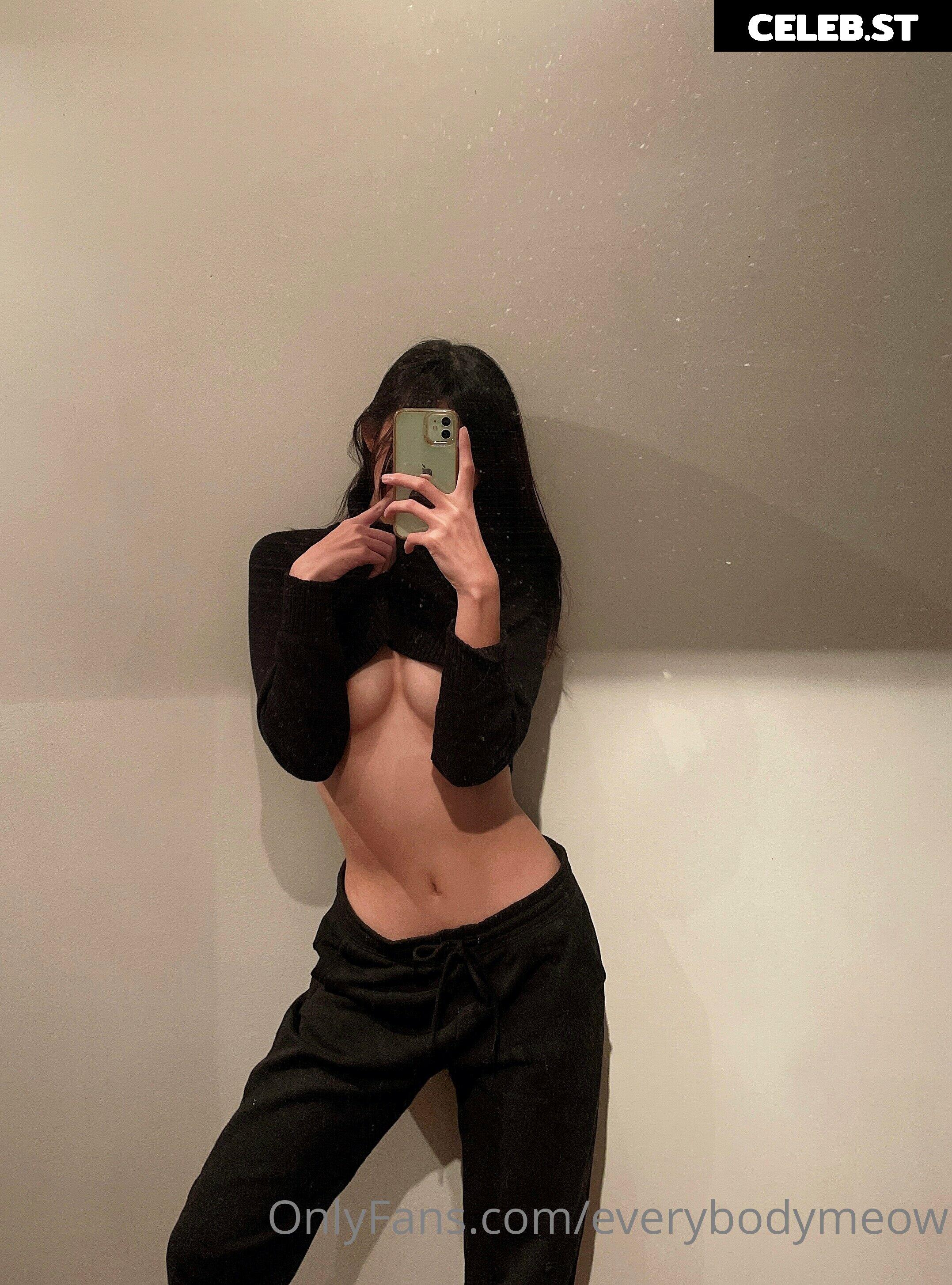 everybodymeow Image 14655536