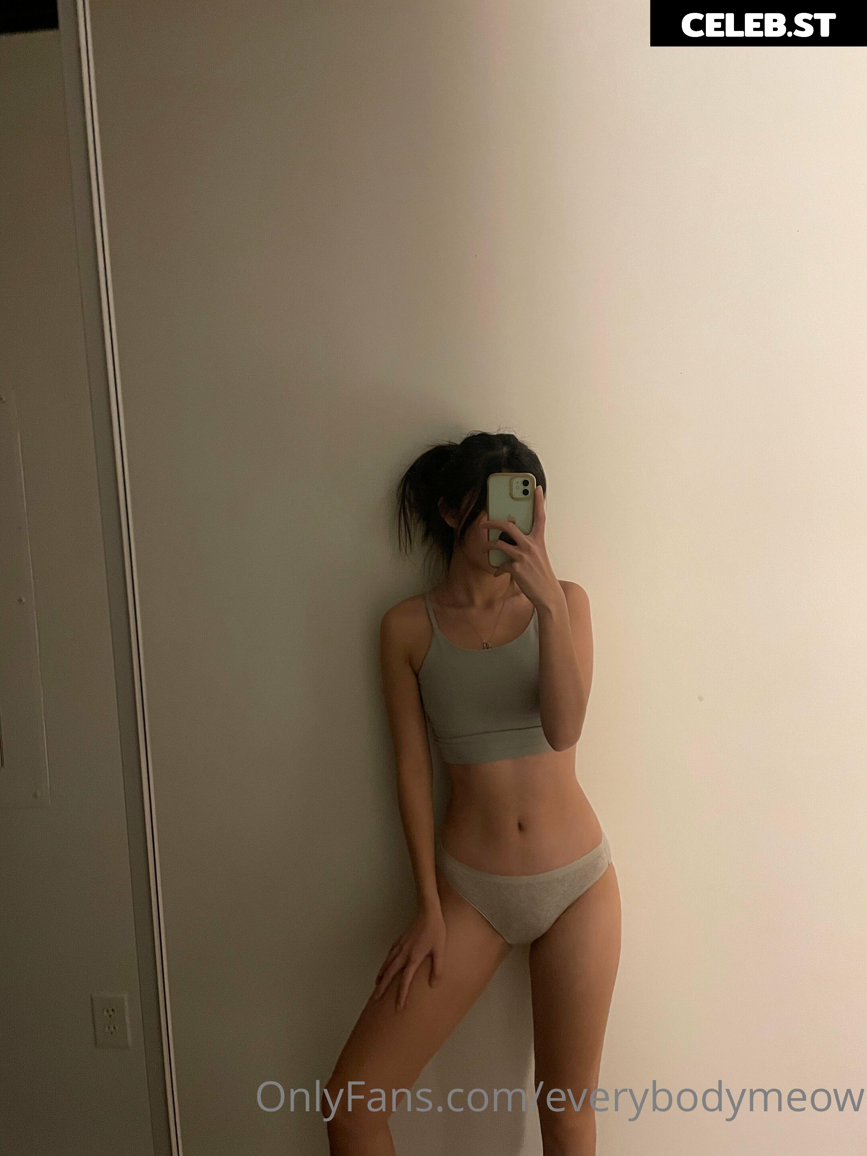 everybodymeow Image 14655570