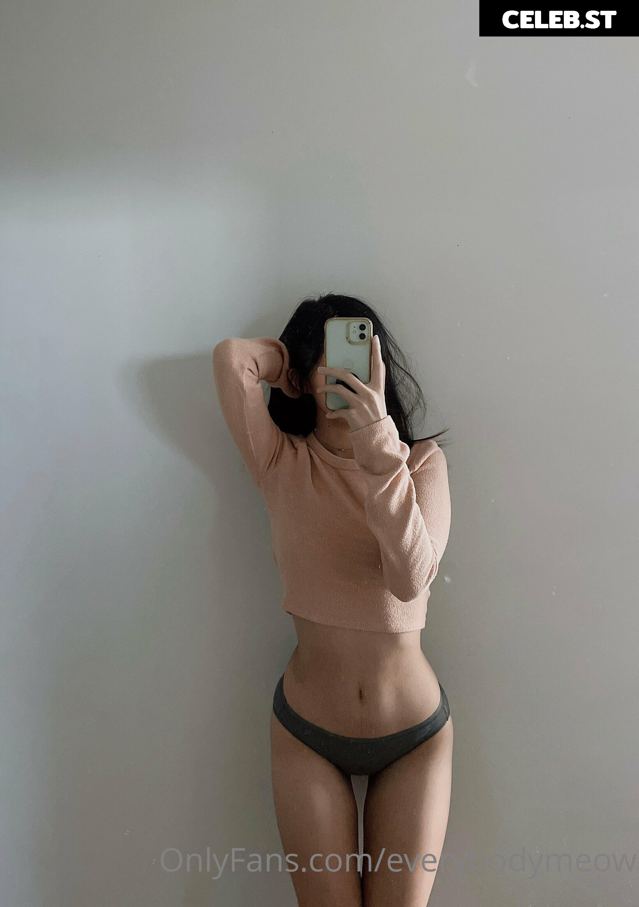 everybodymeow Image 14655456