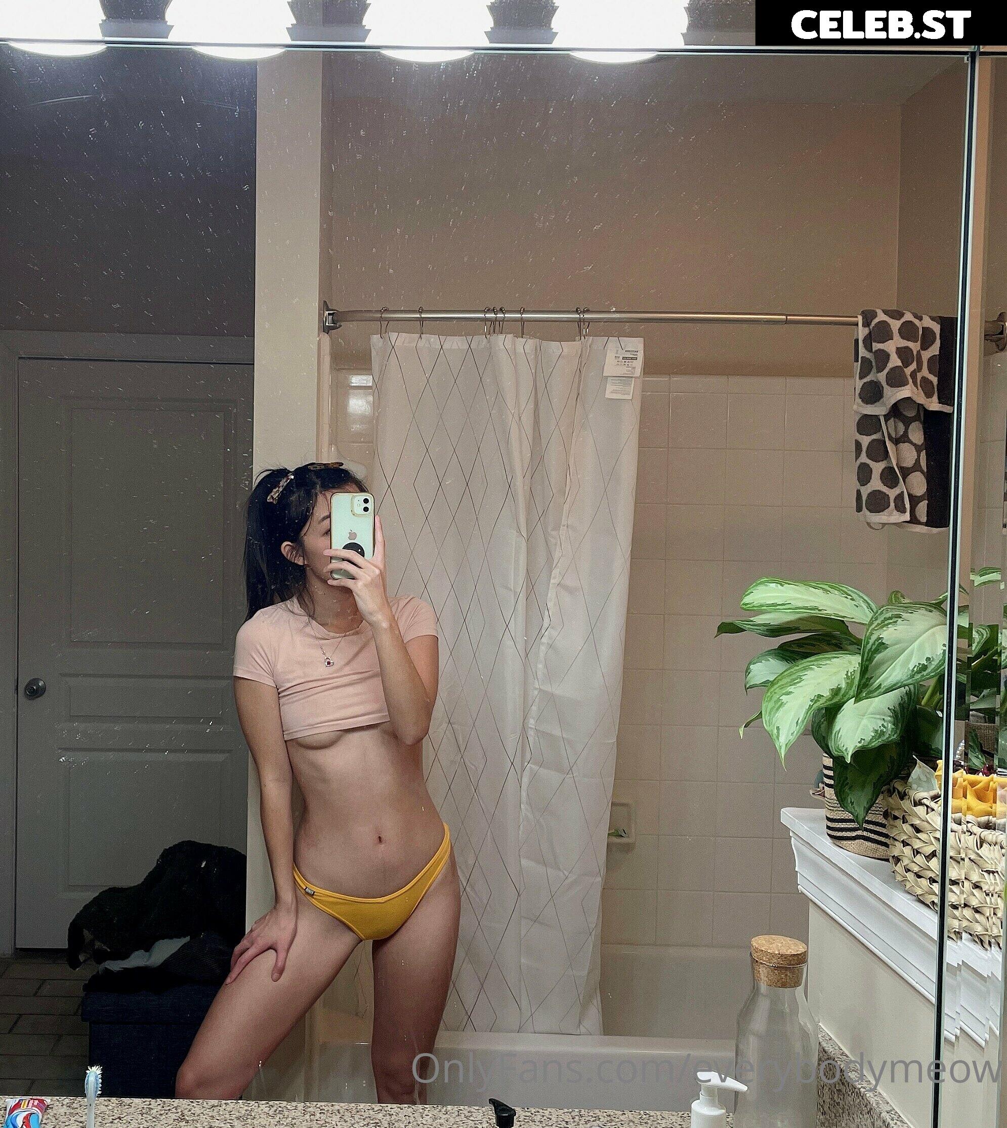 everybodymeow Image 14655607