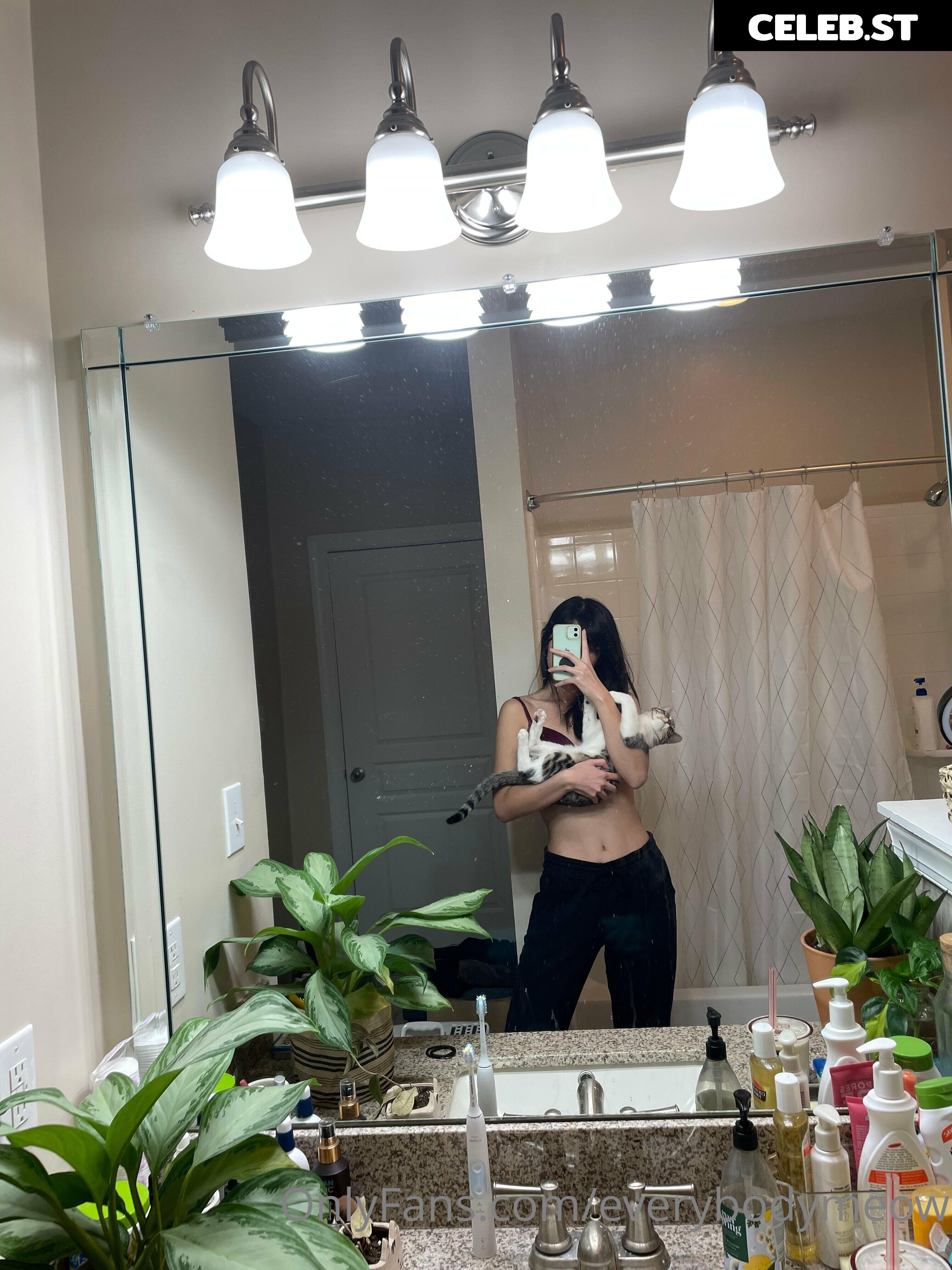 everybodymeow Image 14655604