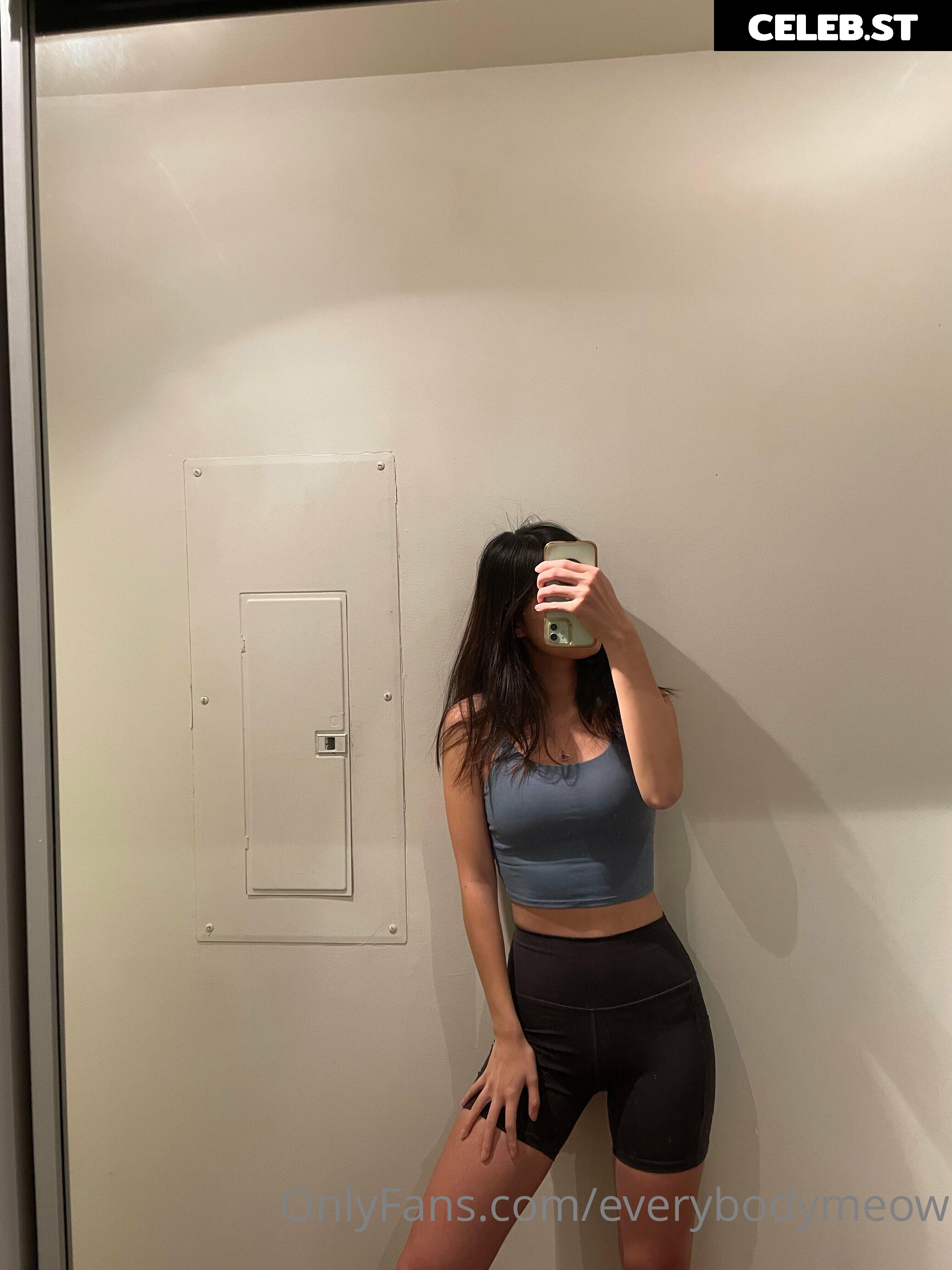 everybodymeow Image 14655397