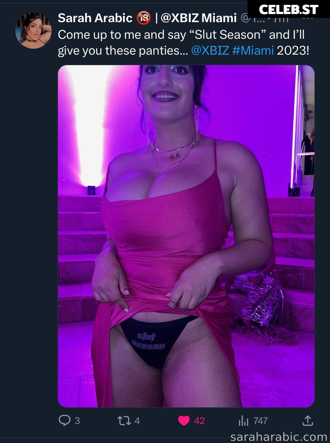 SarahArabic Image 14654123