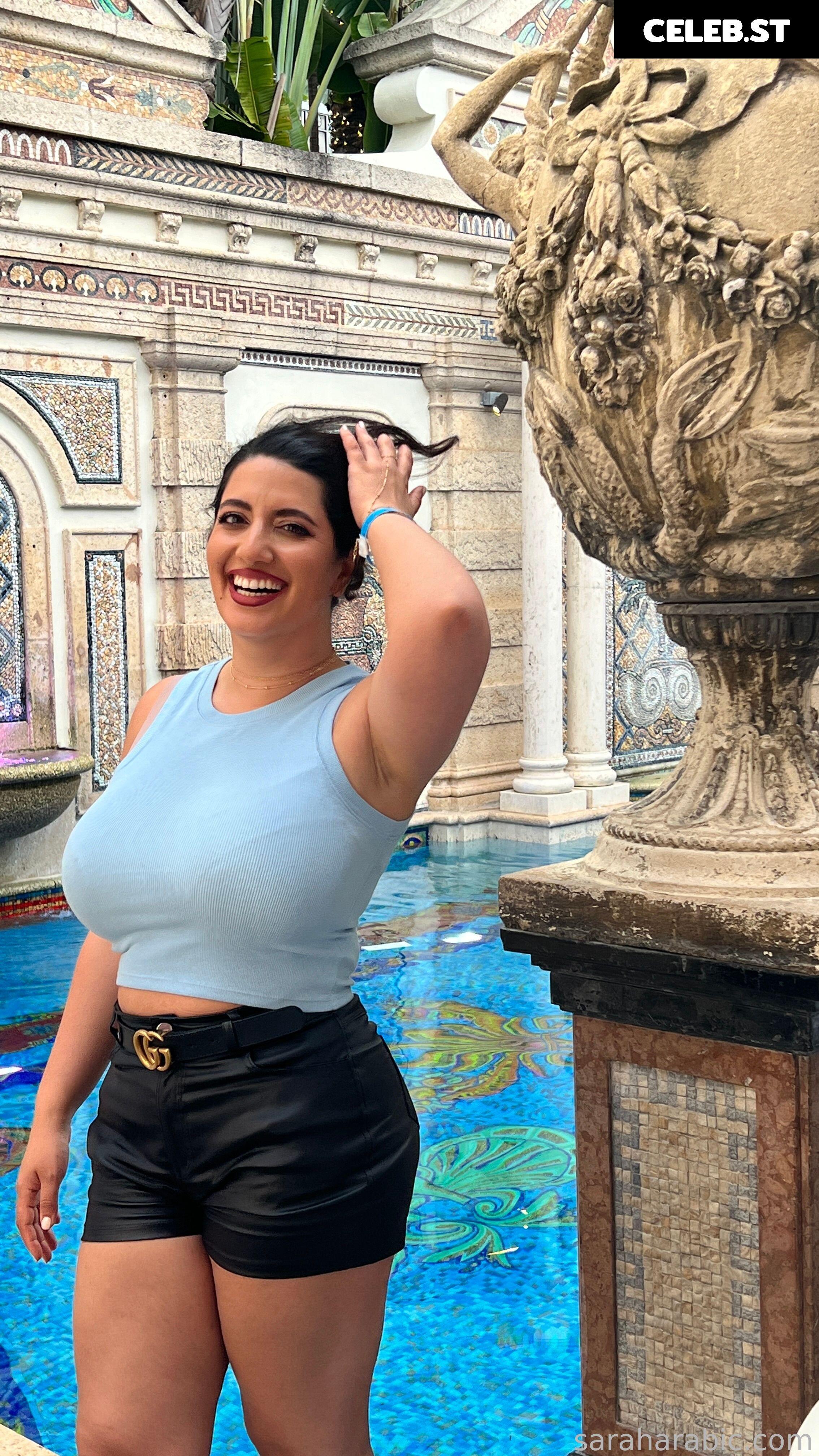 SarahArabic Image 14654146