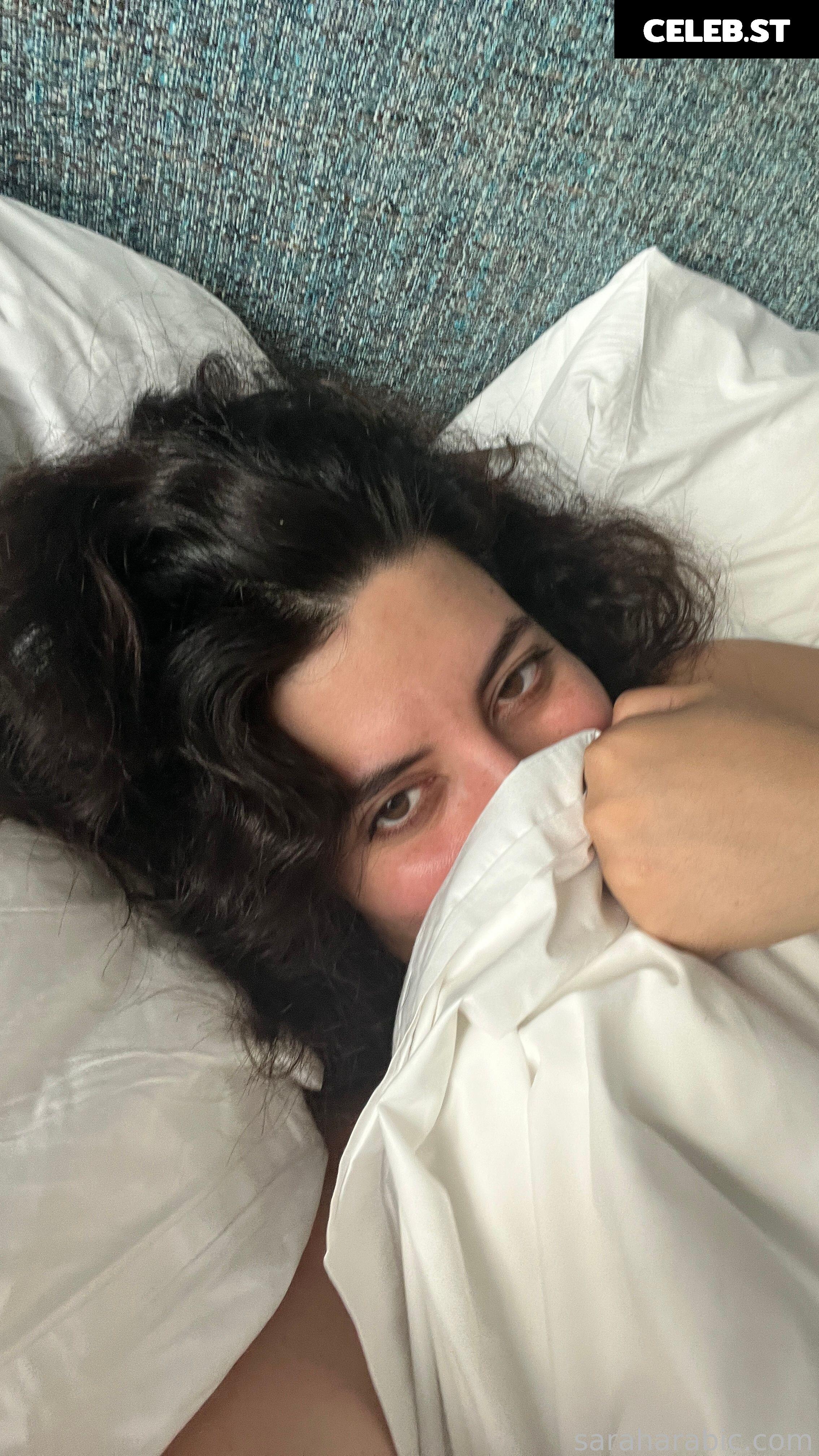 SarahArabic Image 14654063