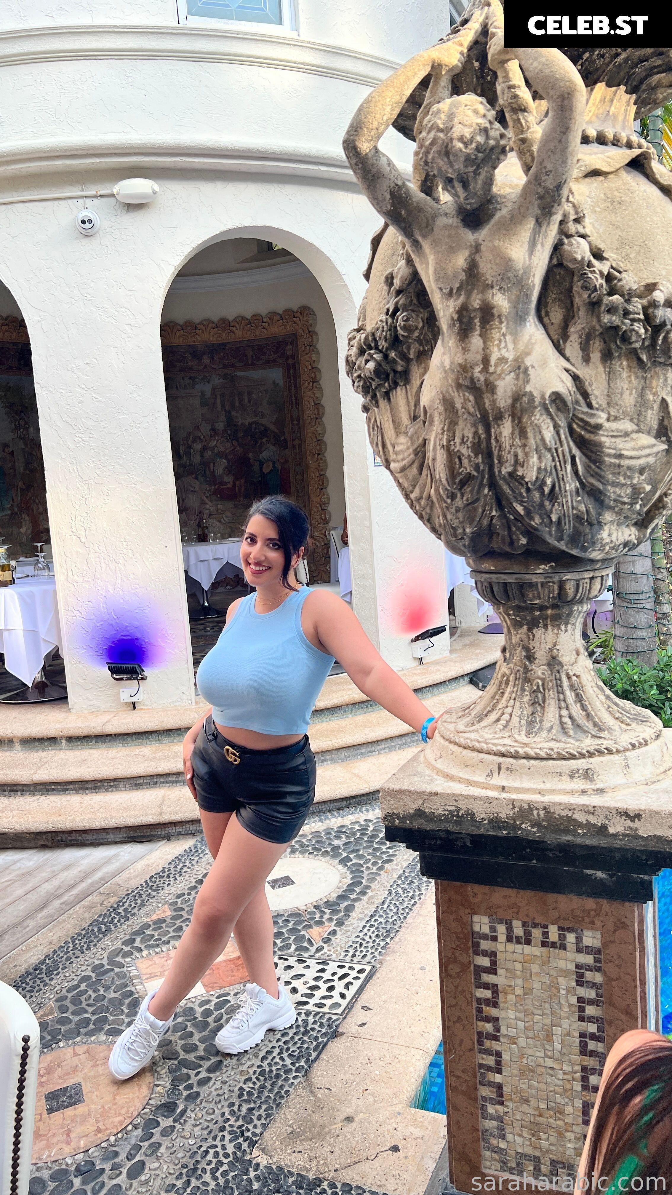 SarahArabic Image 14654067