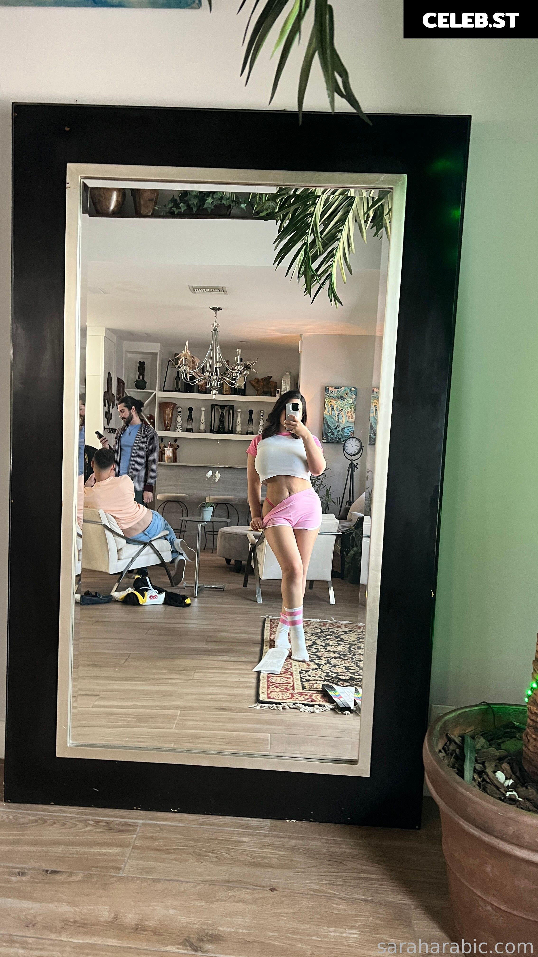 SarahArabic Image 14654048