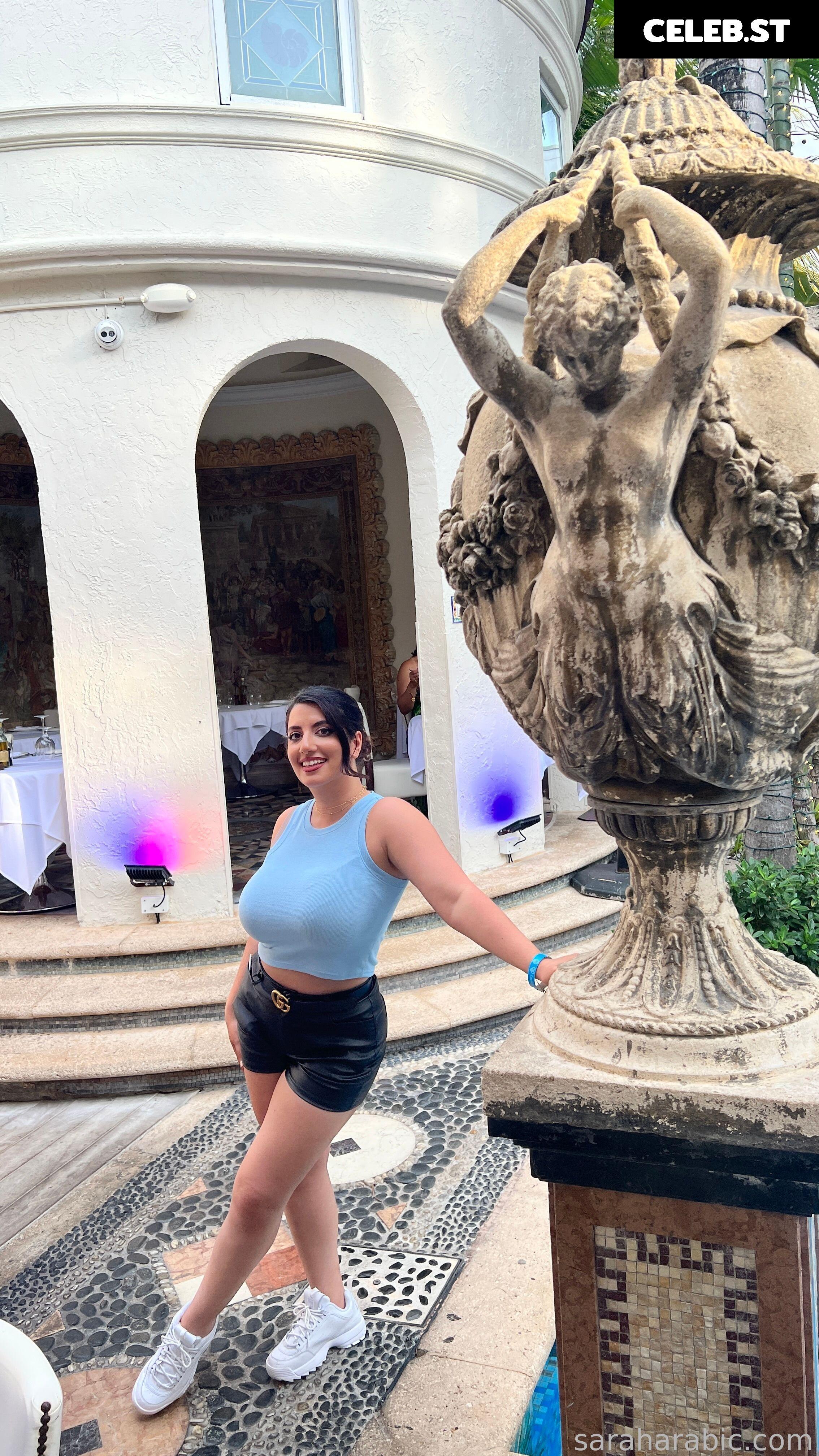 SarahArabic Image 14654072