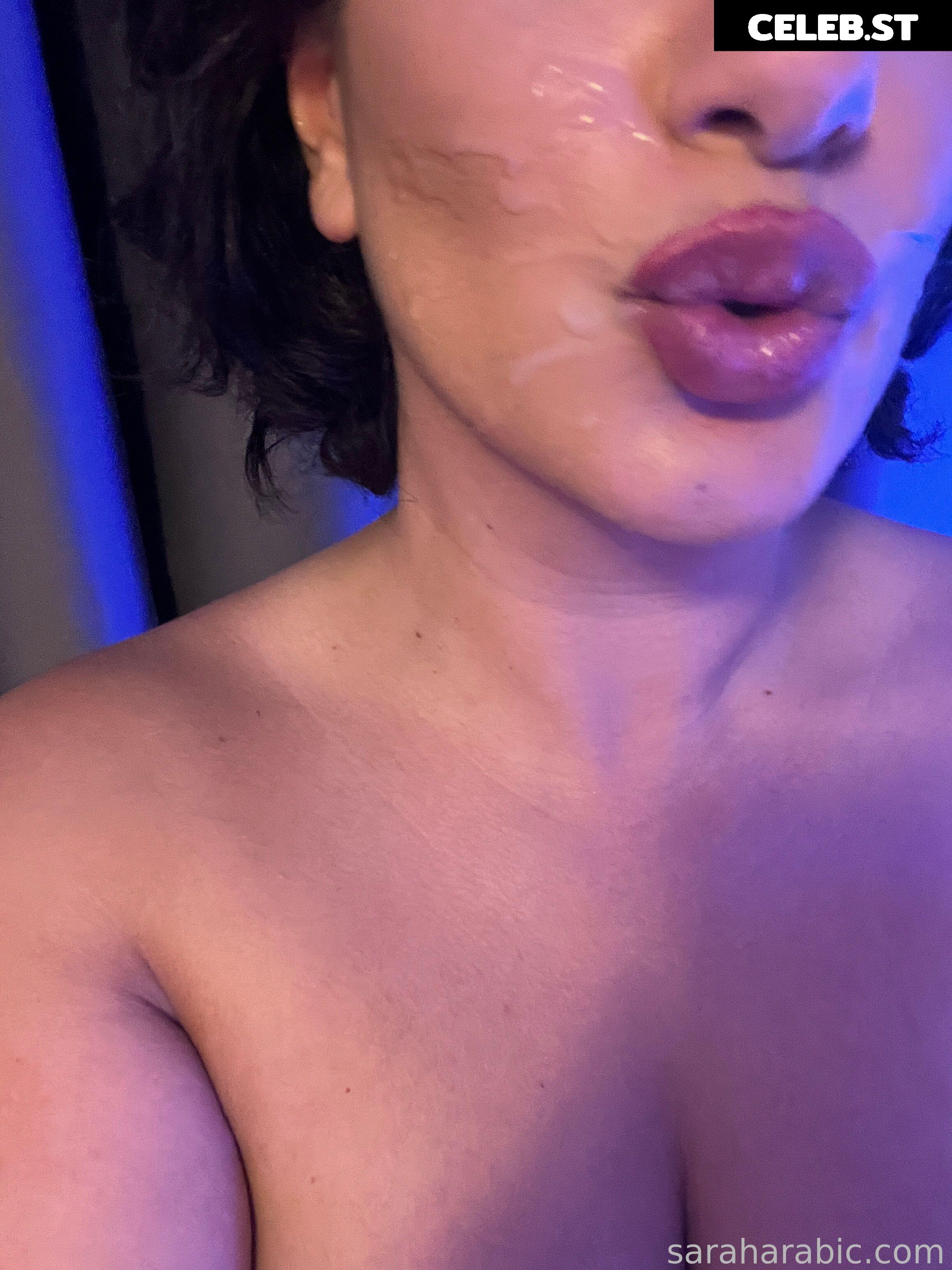 SarahArabic Image 14657520