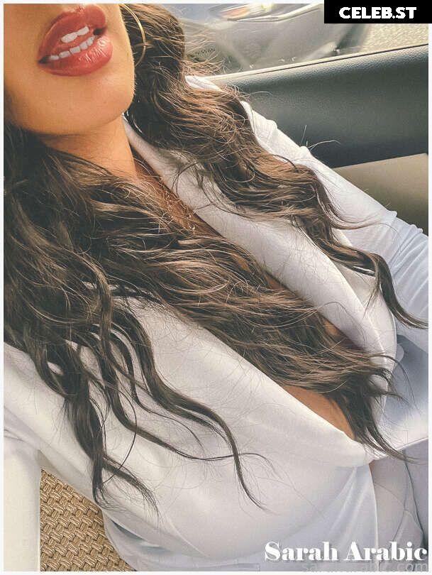 SarahArabic Image 14657579