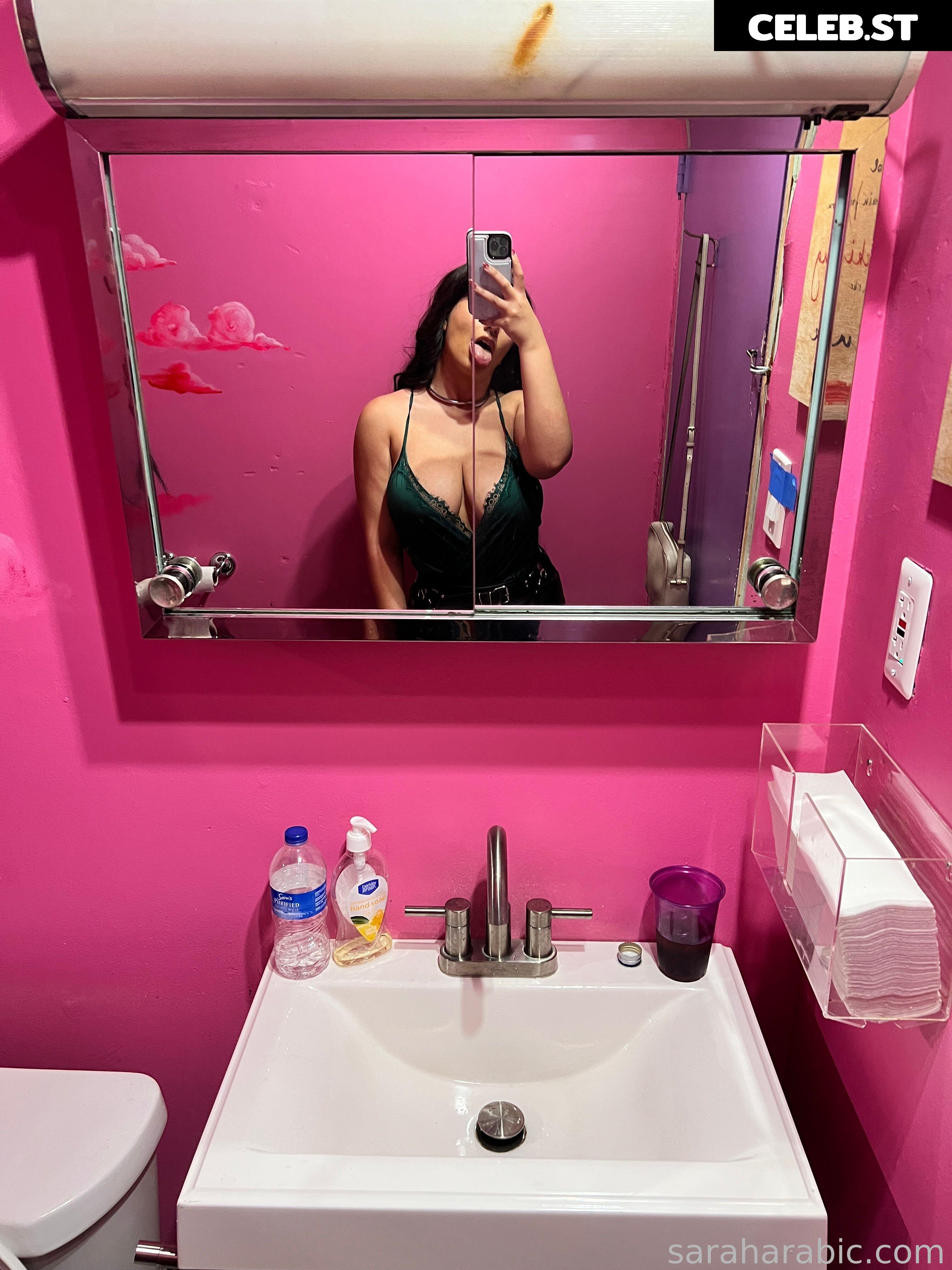 SarahArabic Image 14656999