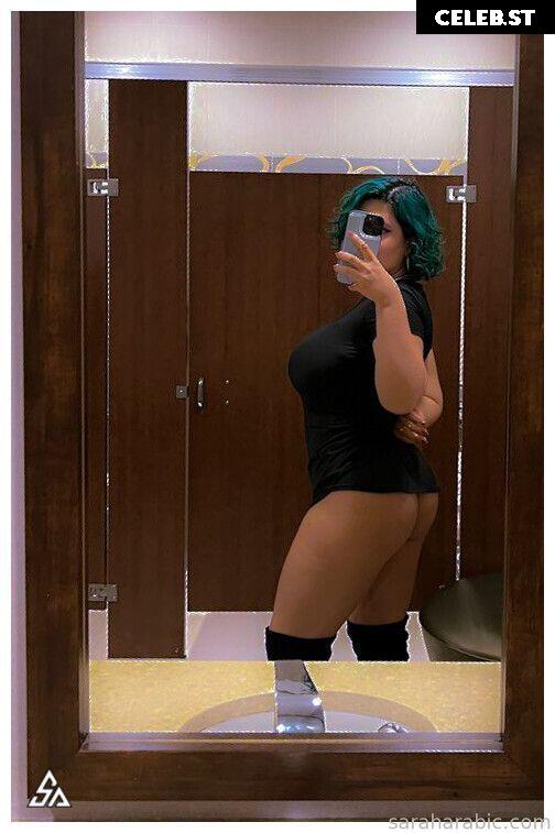 SarahArabic Image 14656943