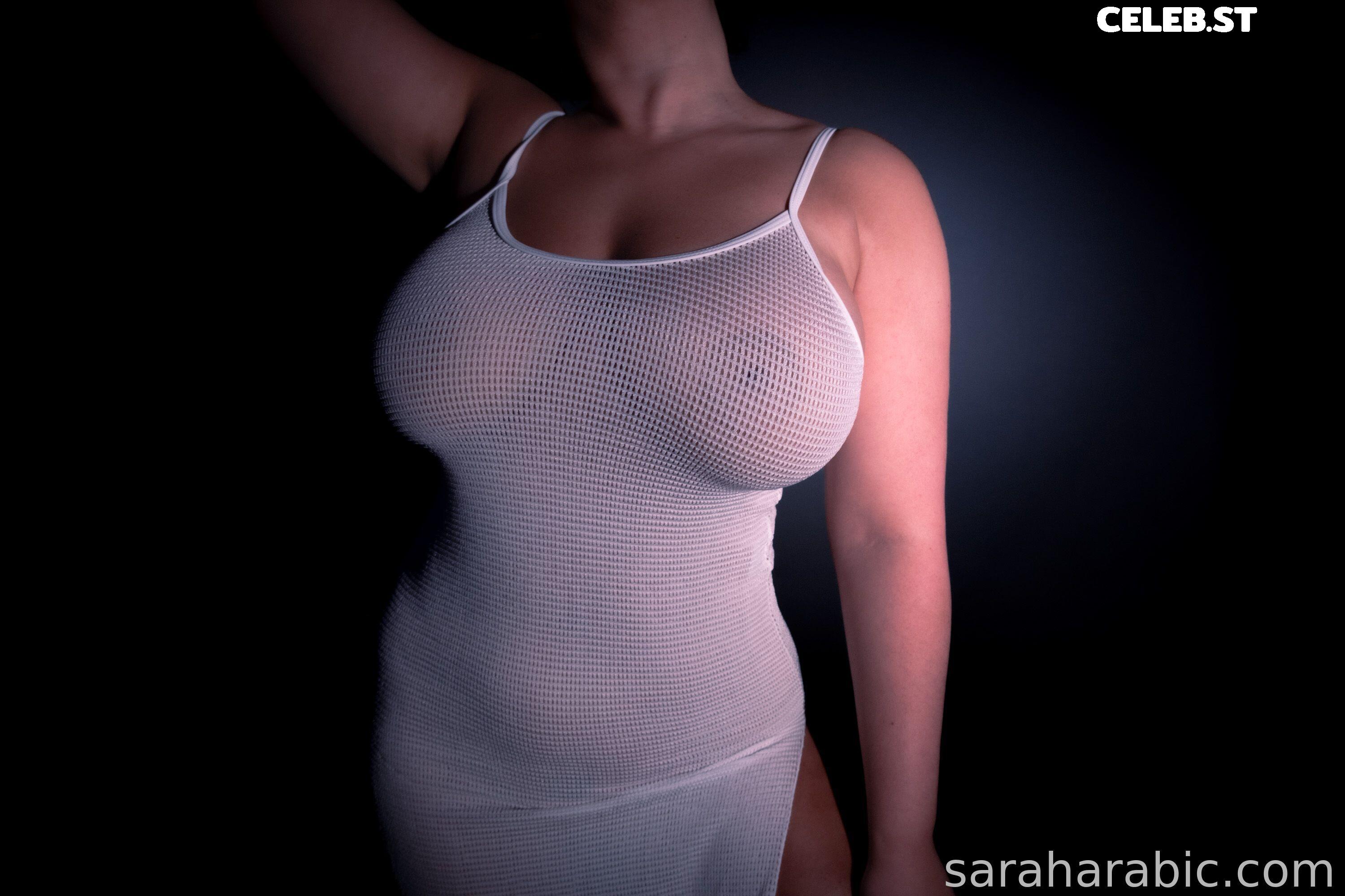 SarahArabic Image 14656445