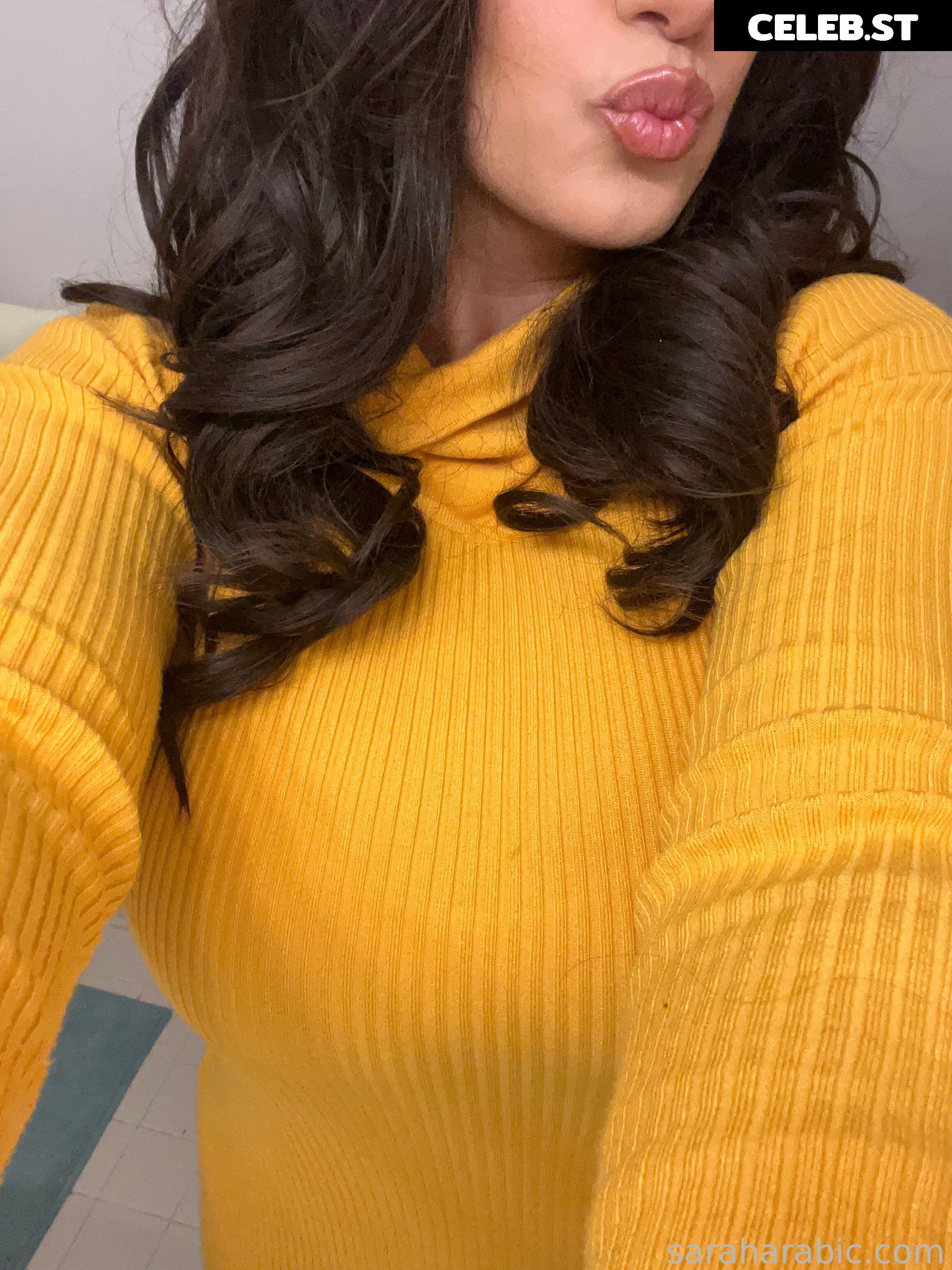 SarahArabic Image 14656387