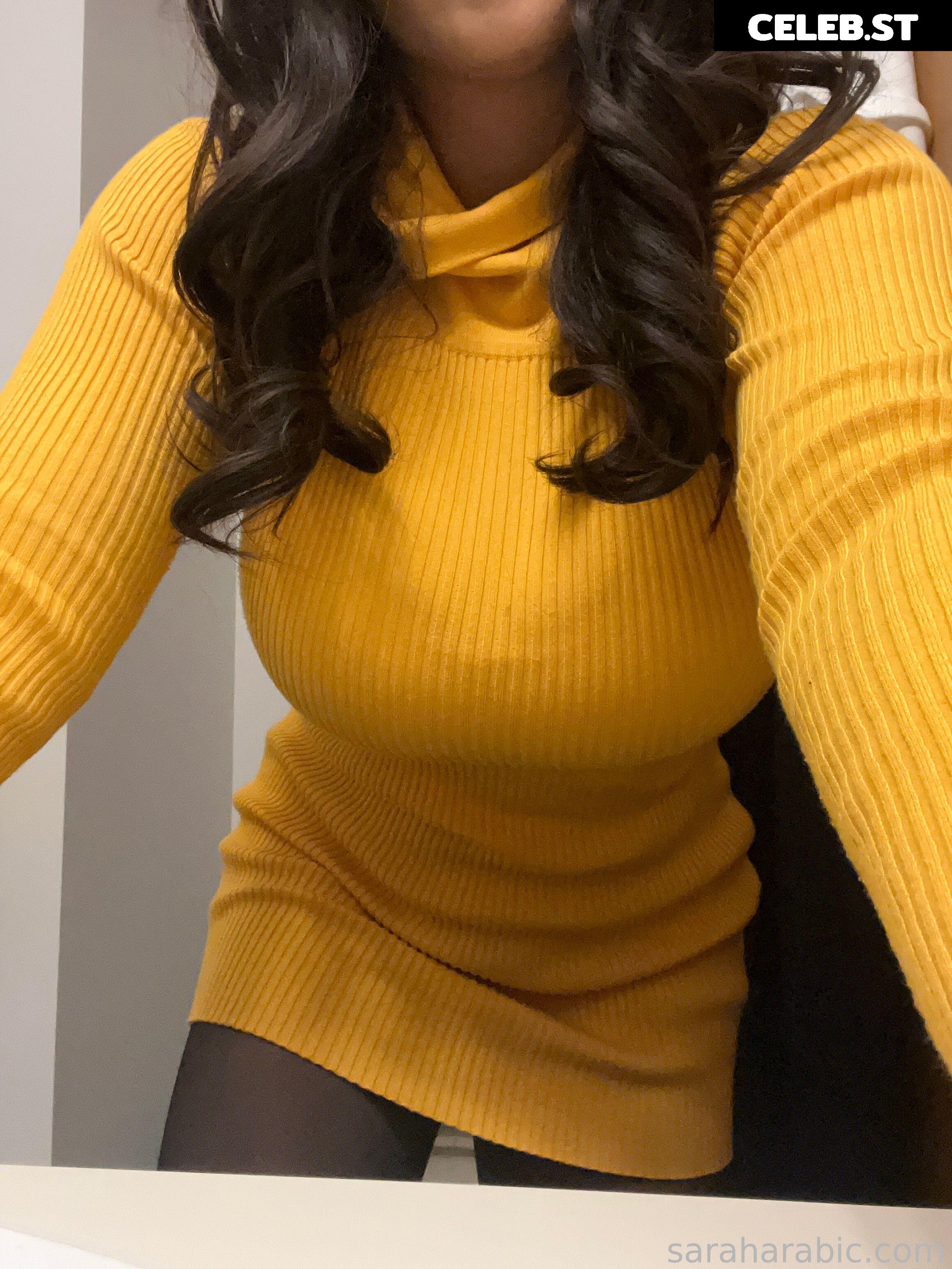 SarahArabic Image 14656386