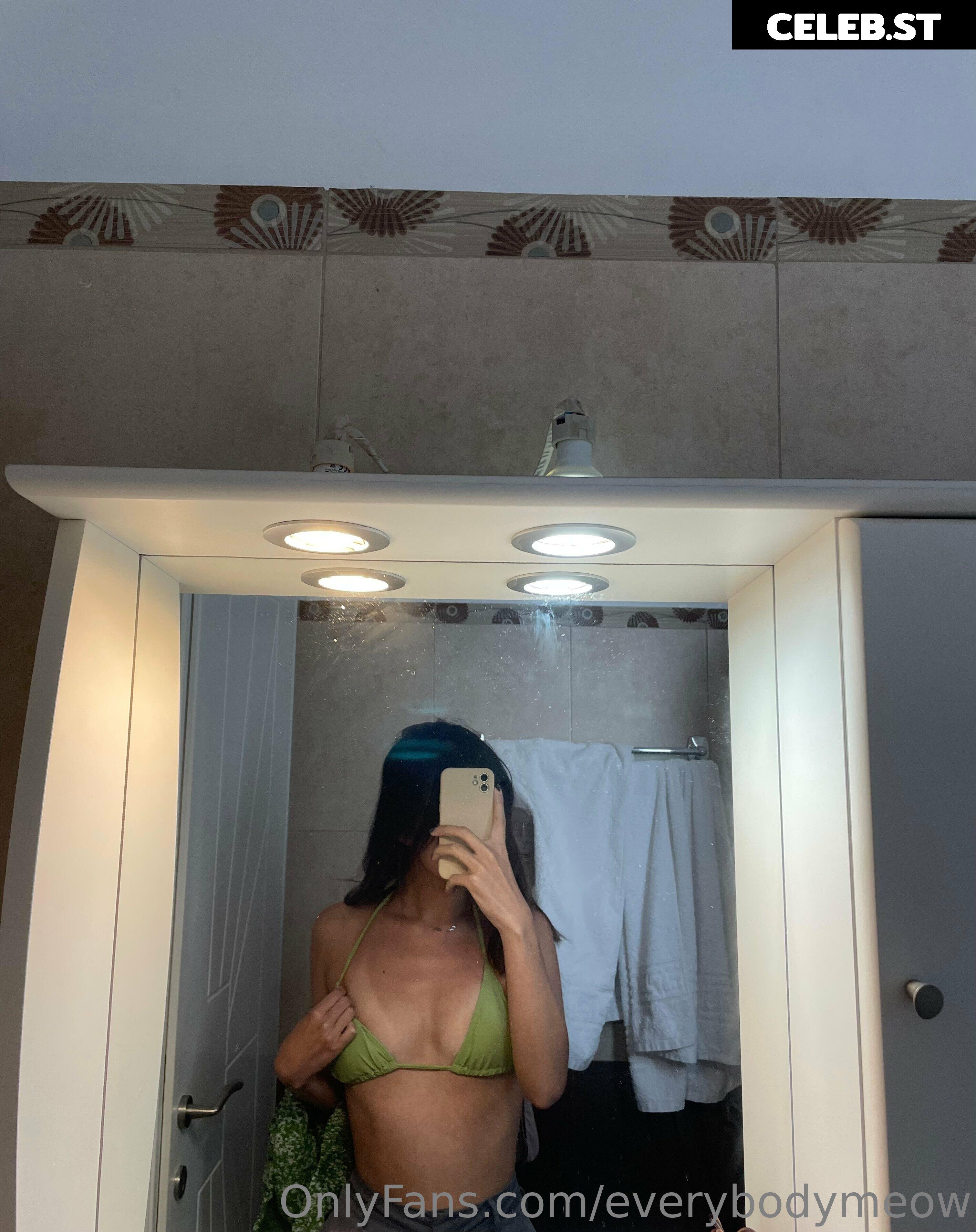 everybodymeow Image 14651495