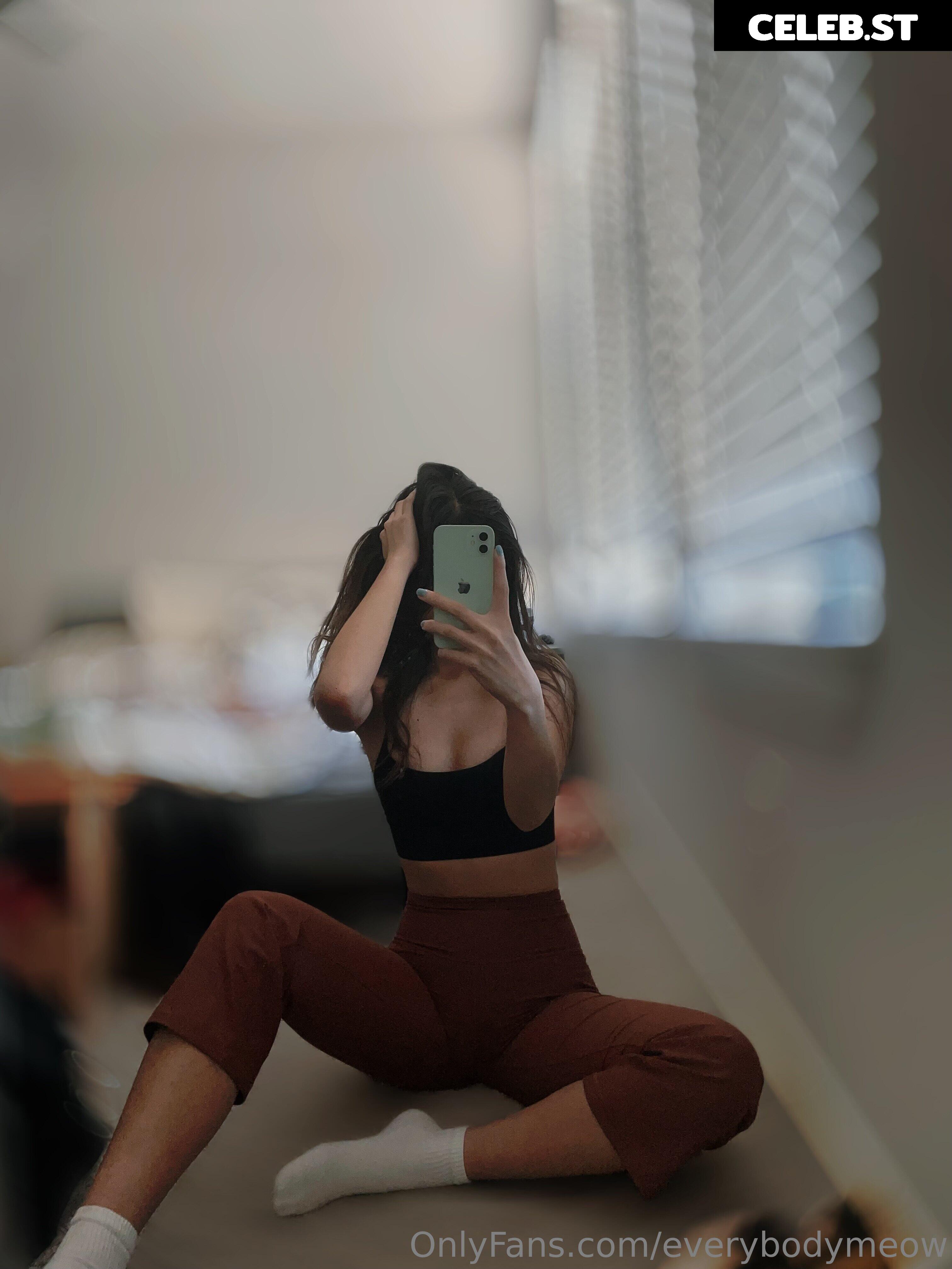 everybodymeow Image 14651196
