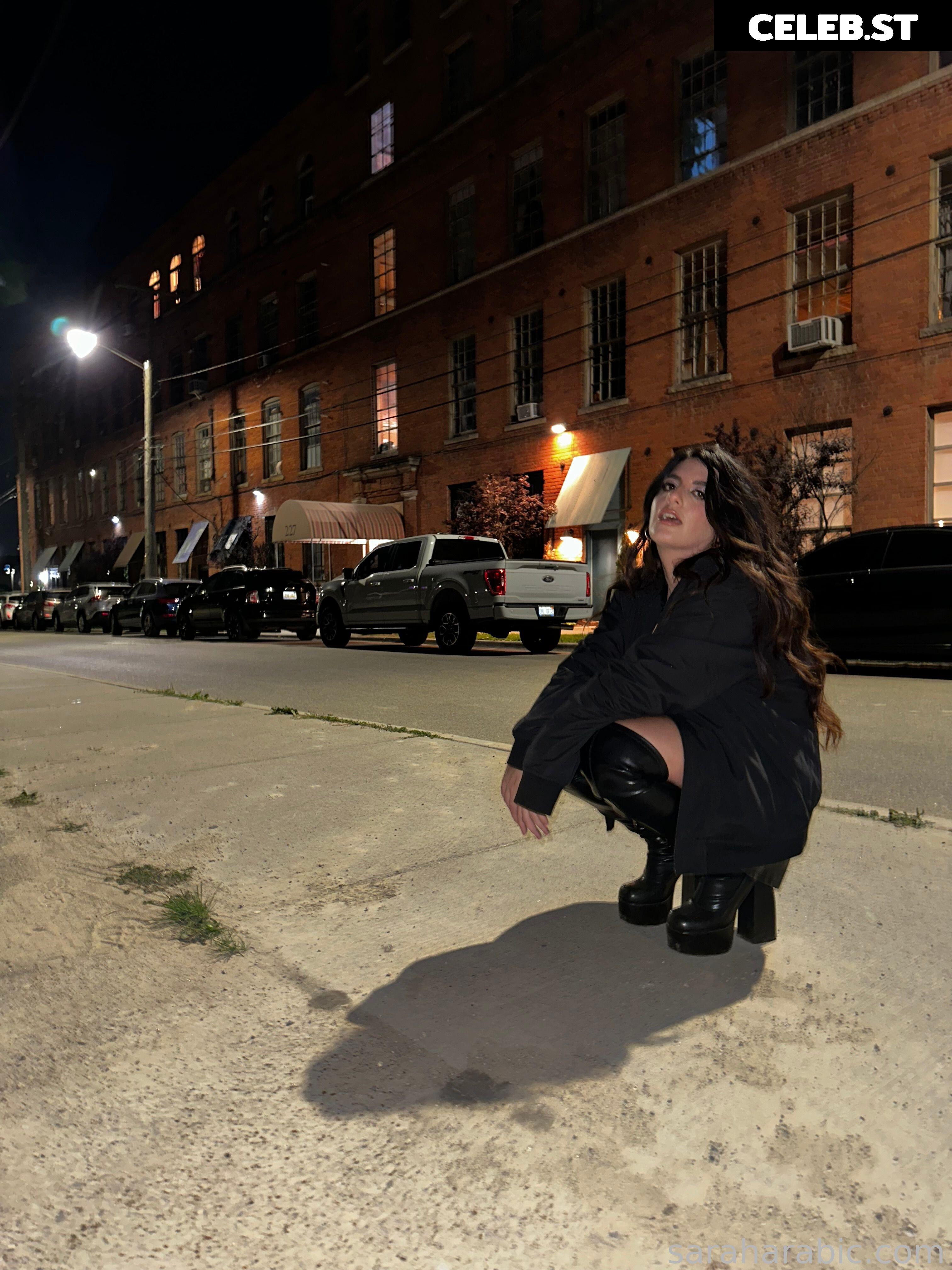 SarahArabic Image 14650407