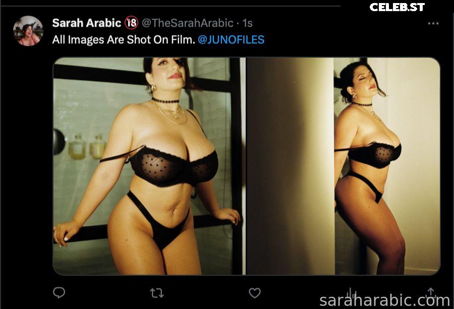 SarahArabic Image 14650629