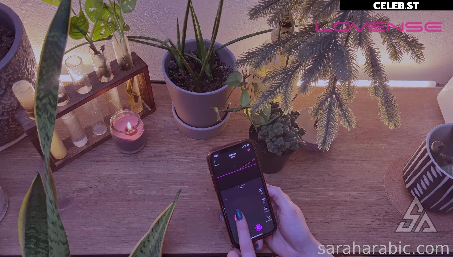 SarahArabic Image 14650134
