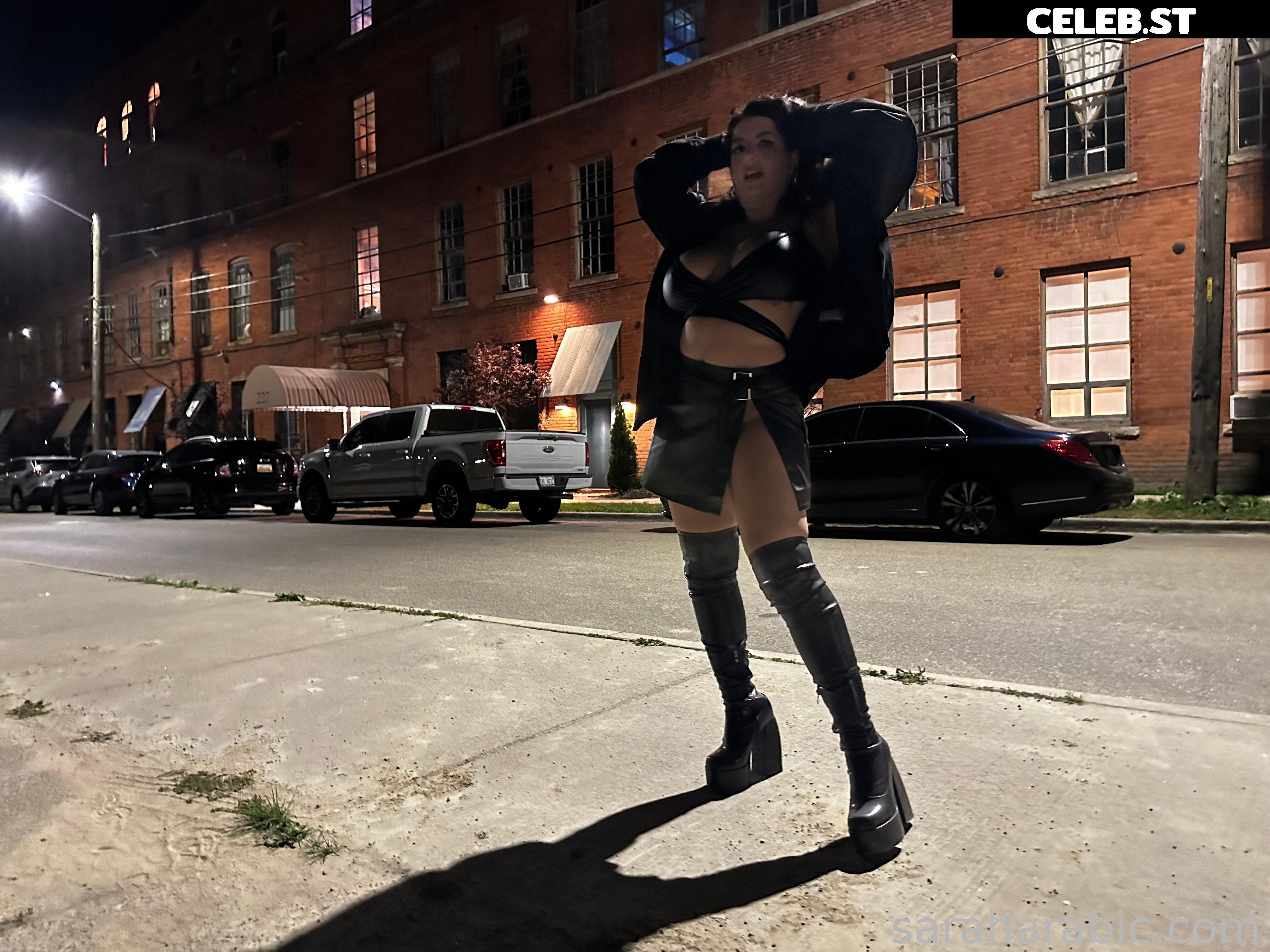 SarahArabic Image 14650159