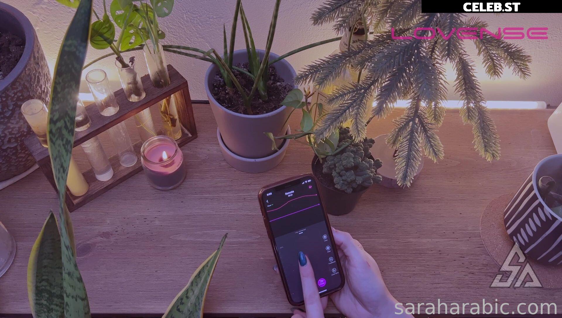 SarahArabic Image 14650171