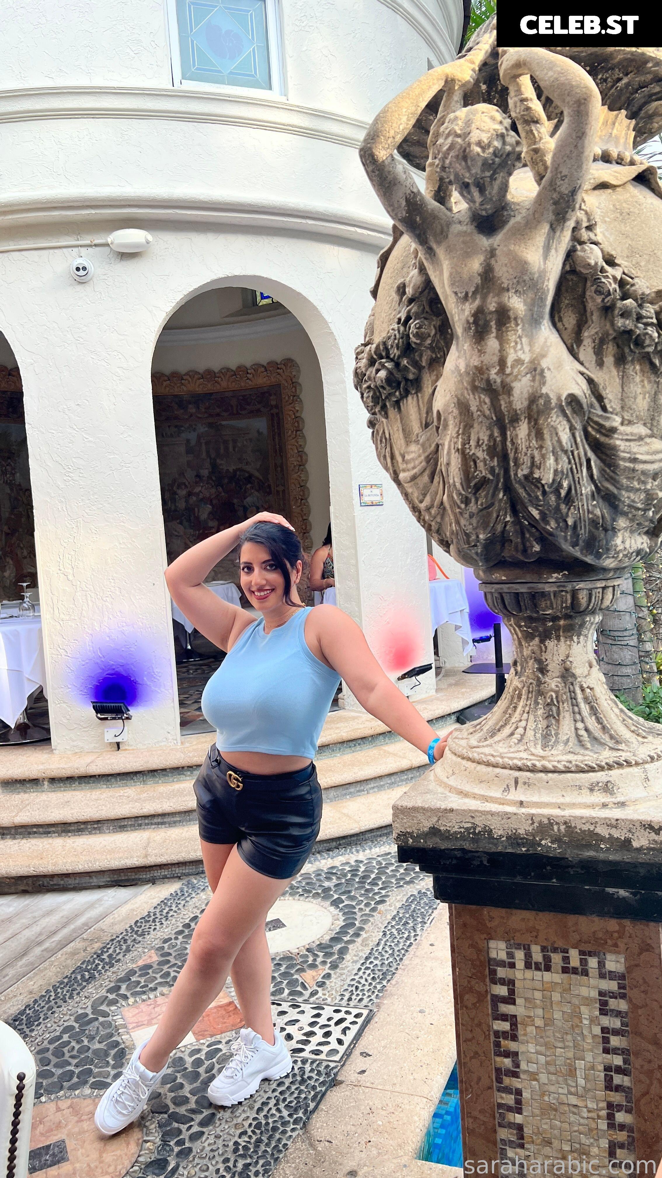 SarahArabic Image 14653970
