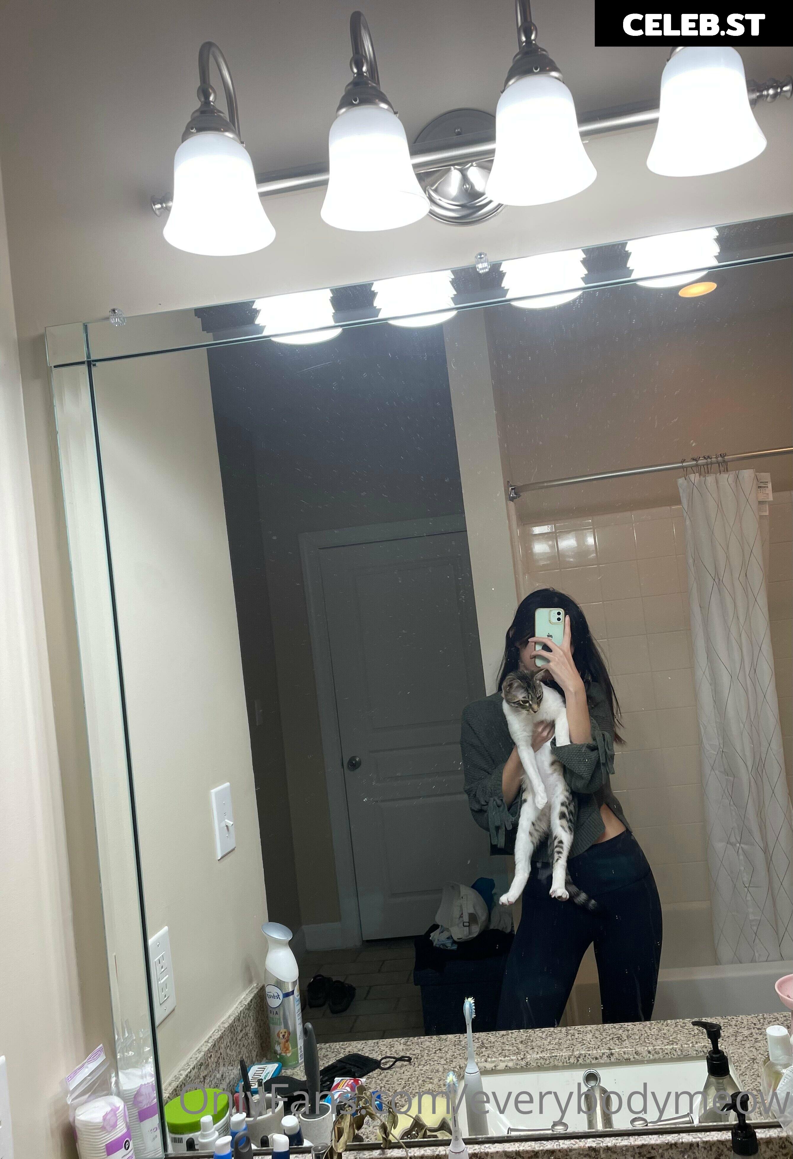 everybodymeow Image 14653530