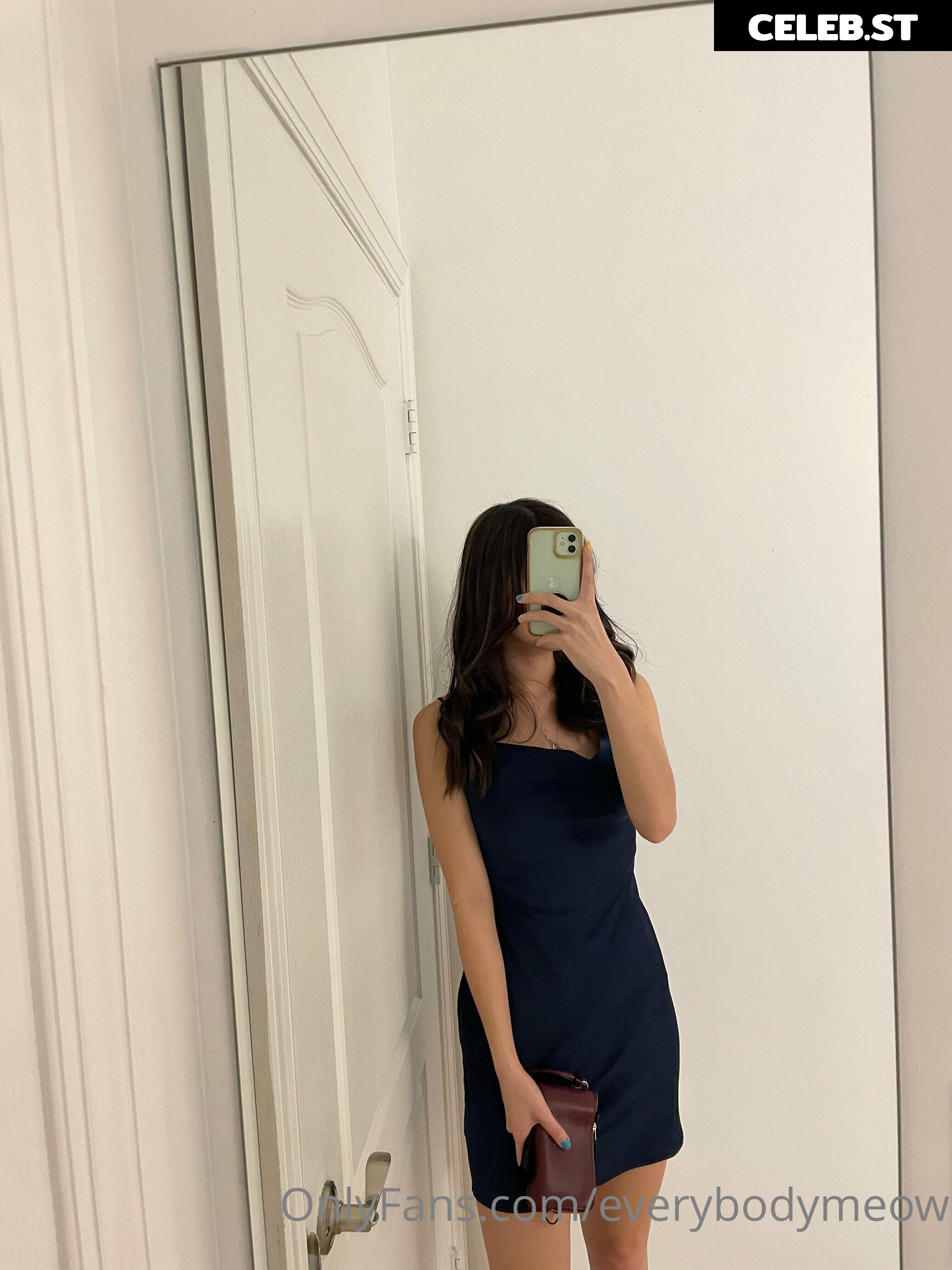 everybodymeow Image 14653552