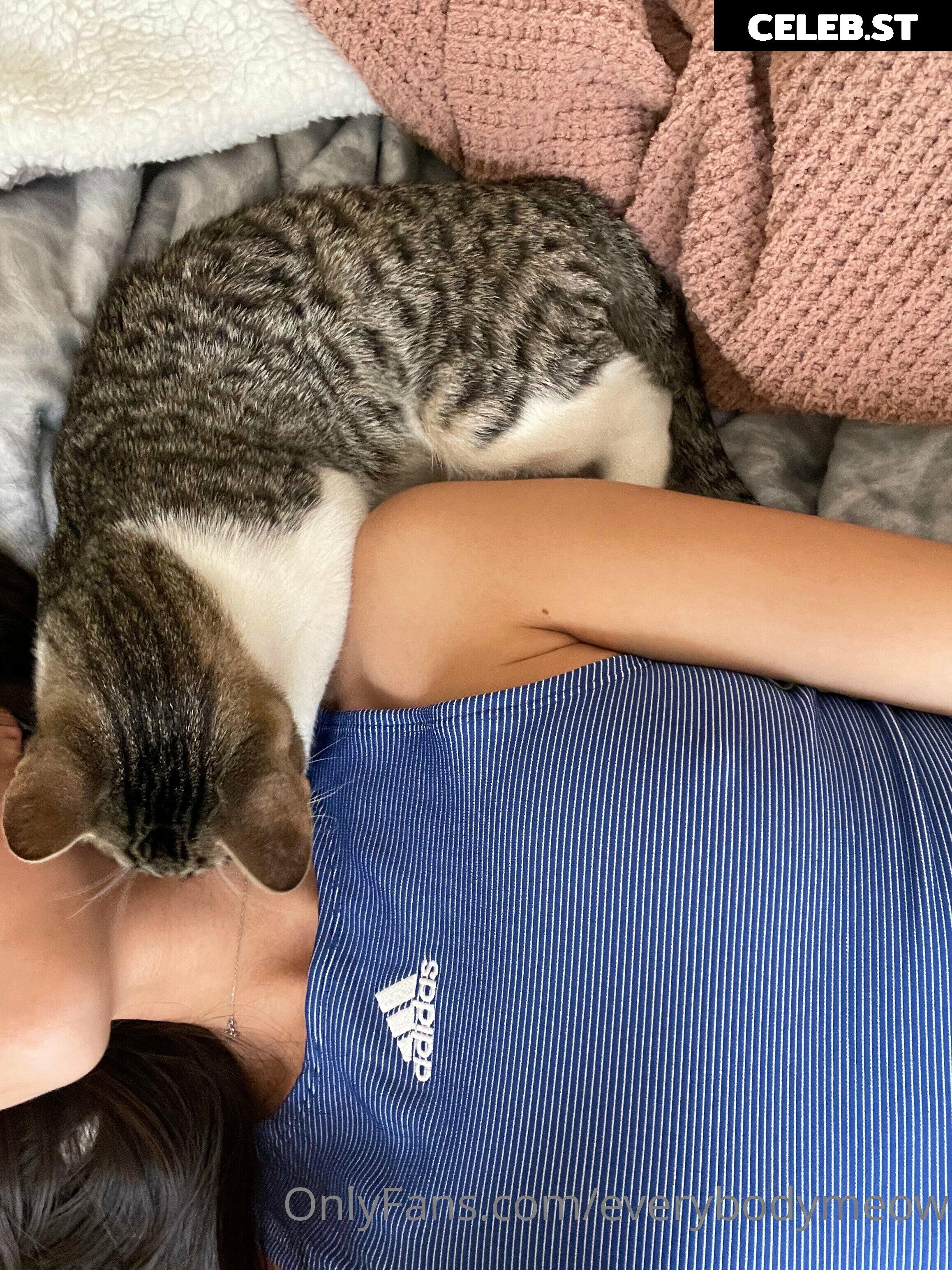 everybodymeow Image 14653551