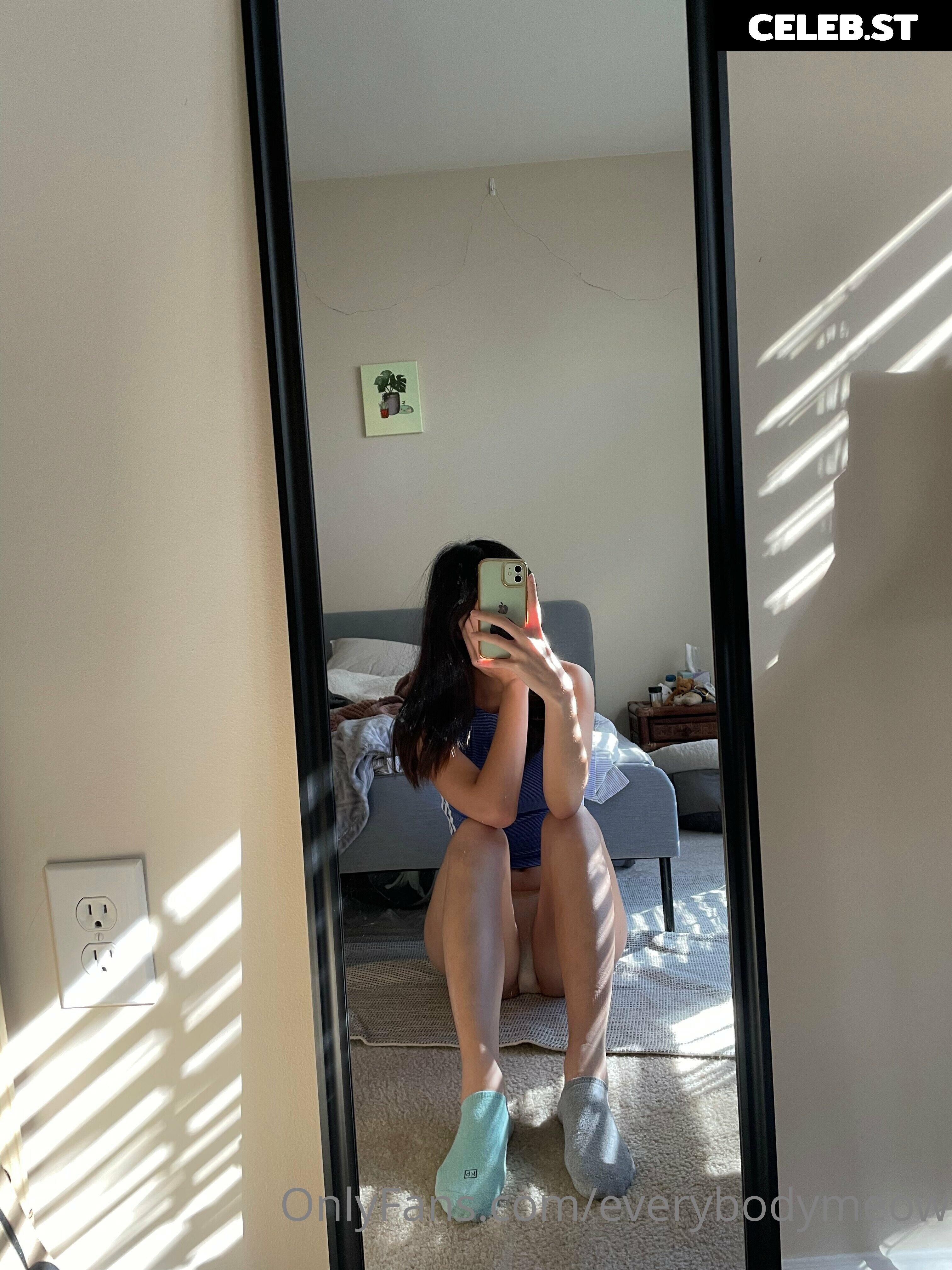 everybodymeow Image 14653483