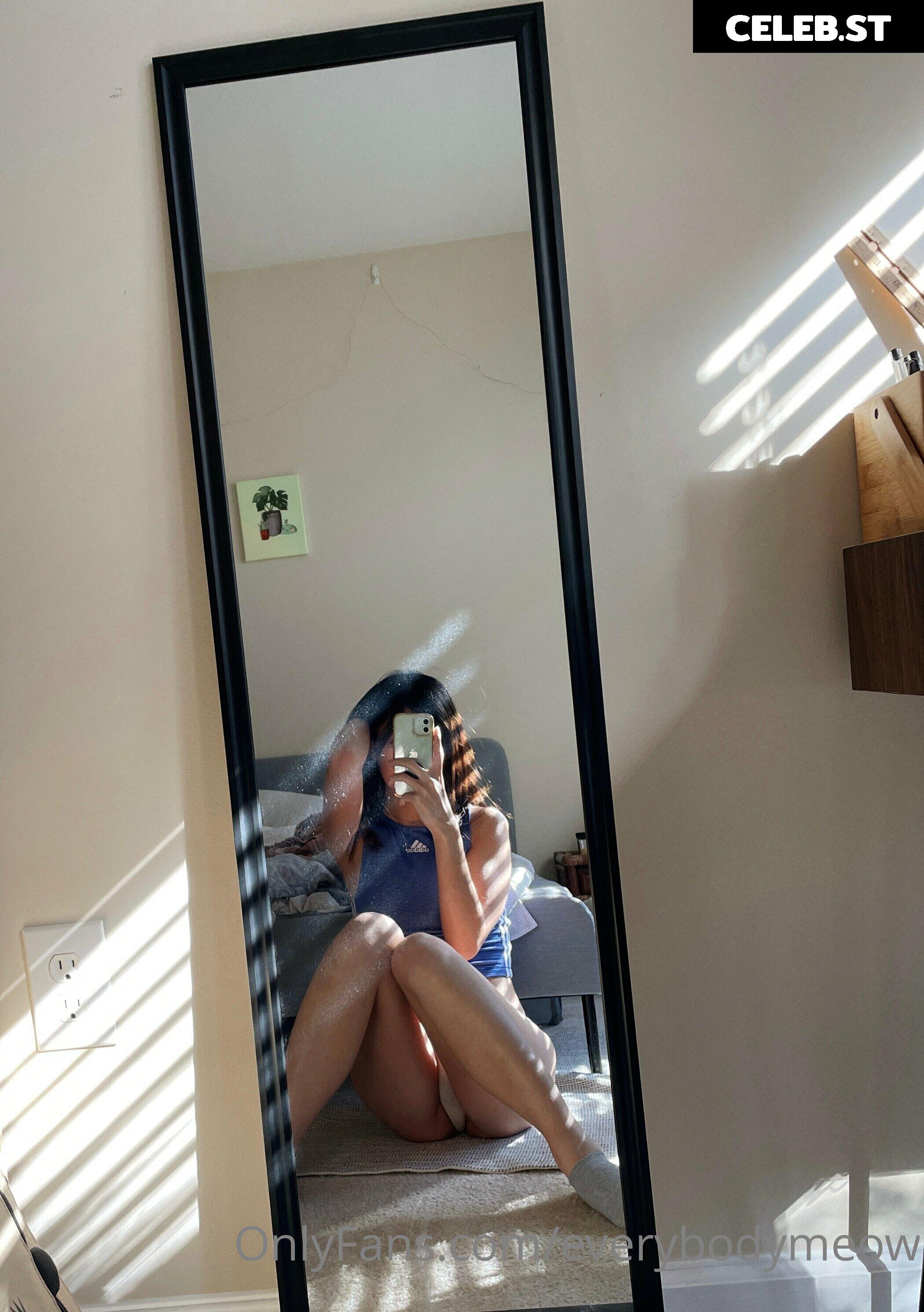 everybodymeow Image 14653482