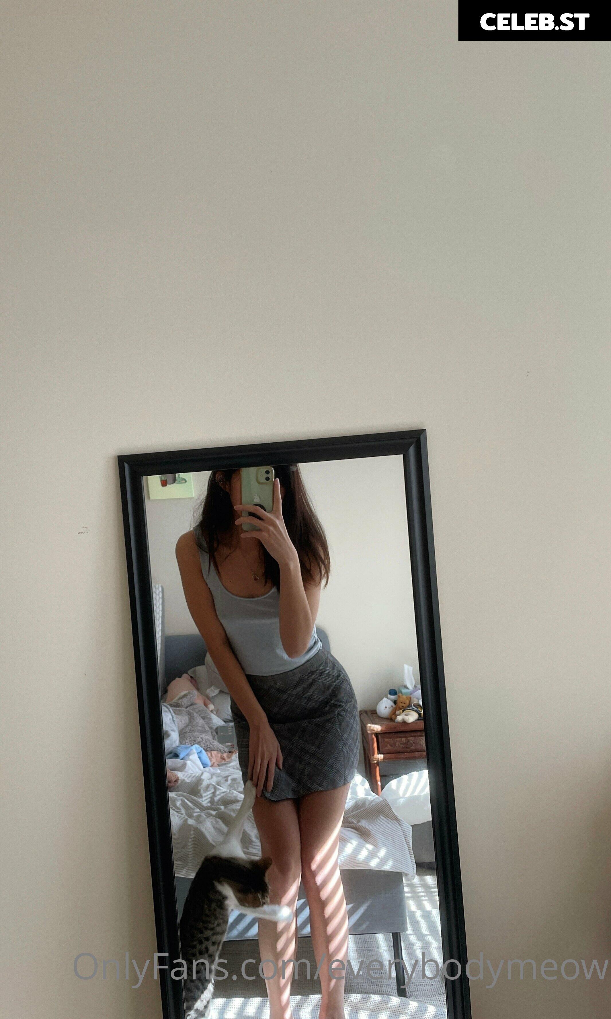 everybodymeow Image 14653485