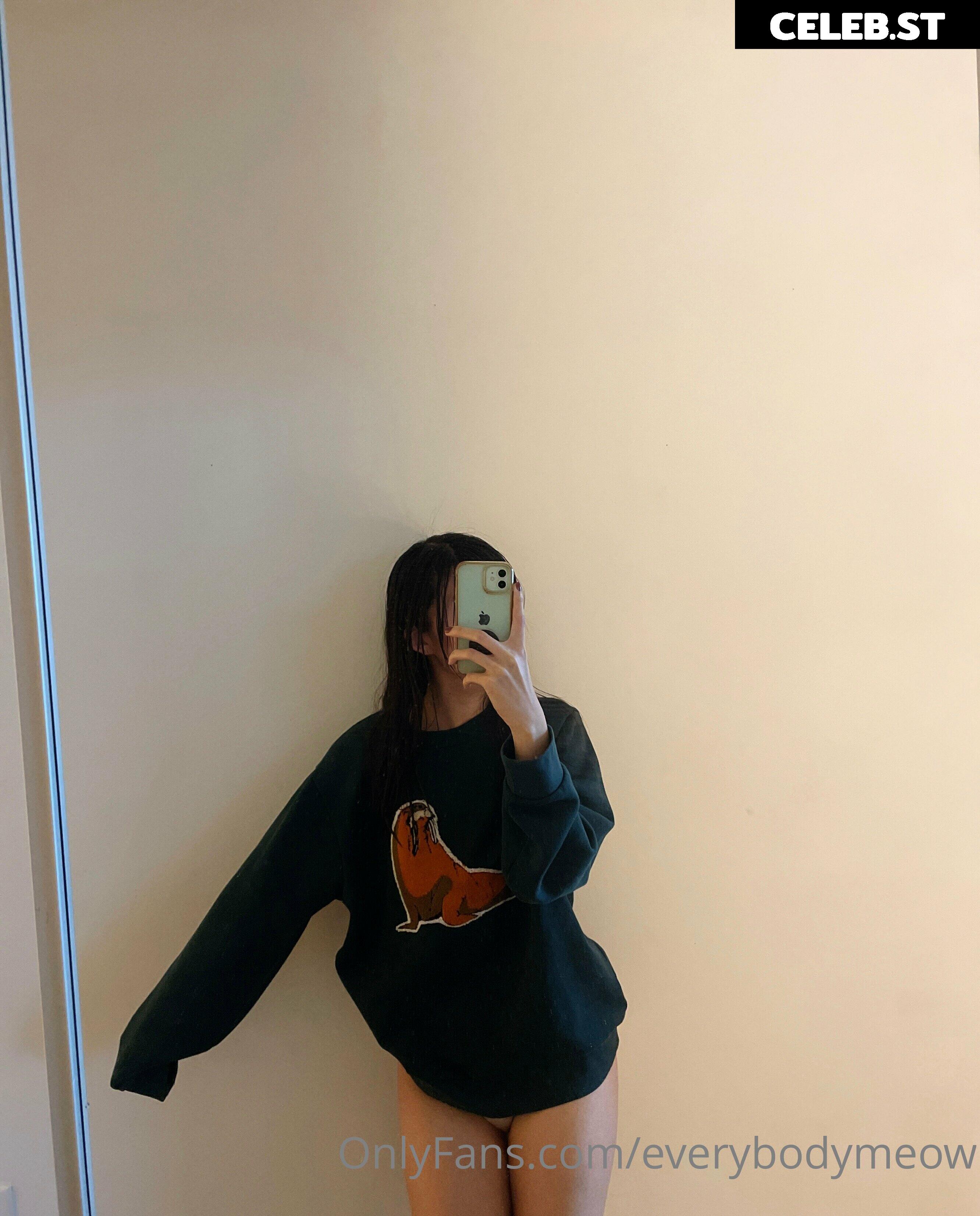 everybodymeow Image 14653407