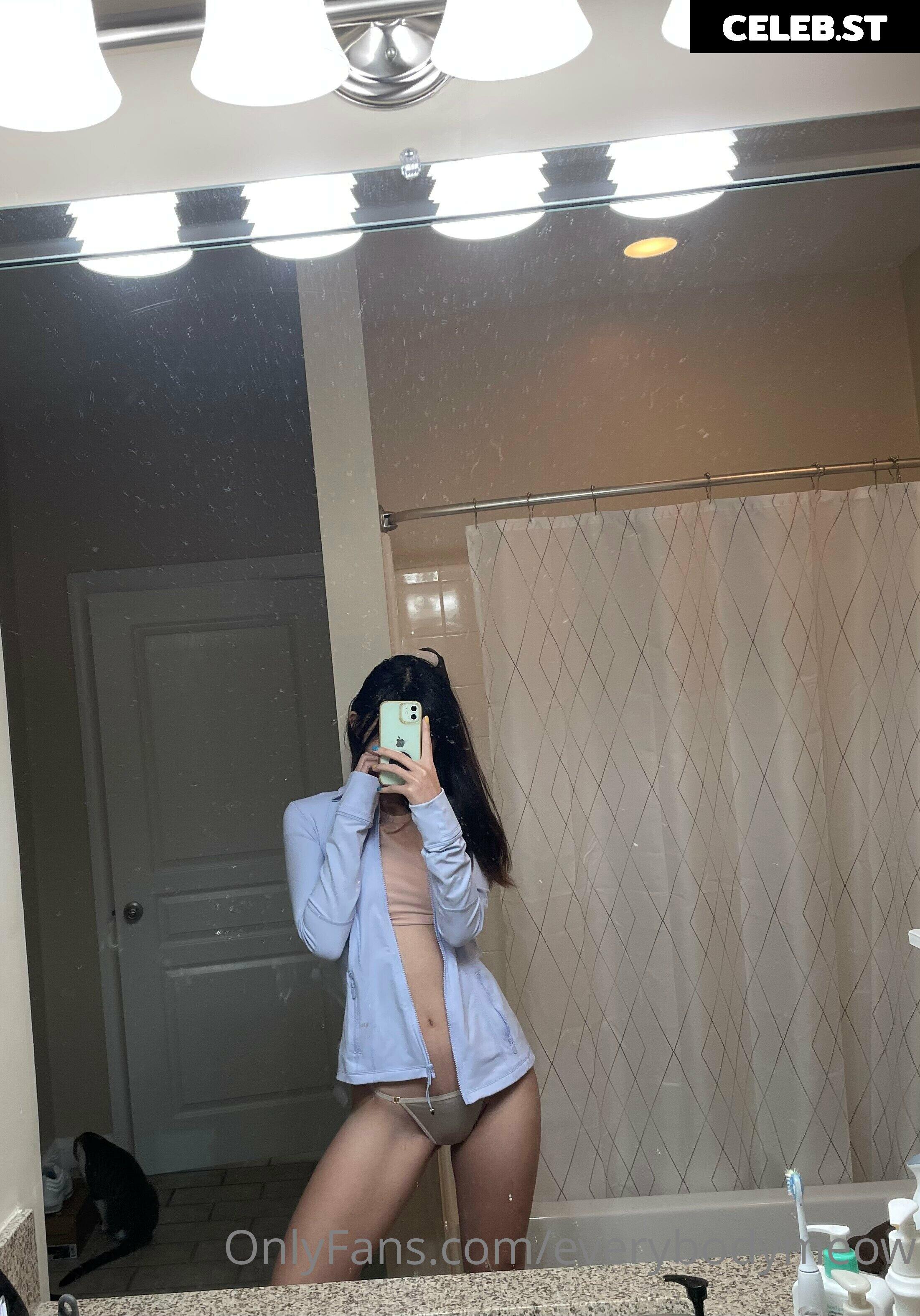 everybodymeow Image 14653470