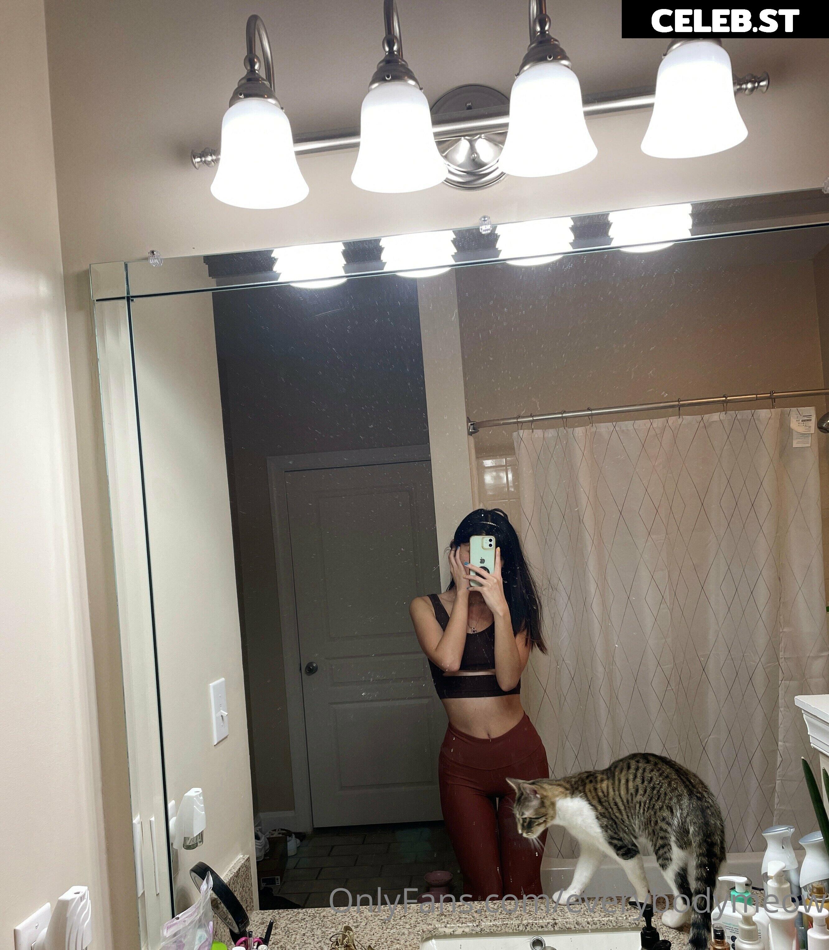 everybodymeow Image 14653603