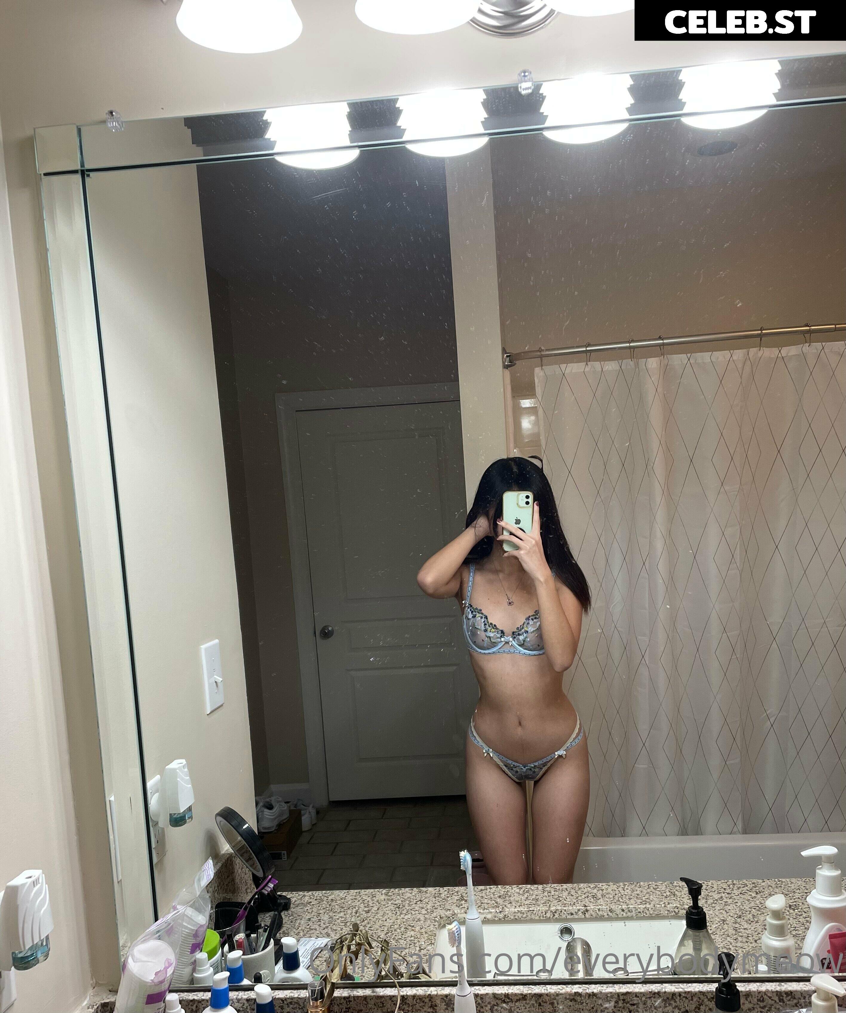 everybodymeow Image 14653600