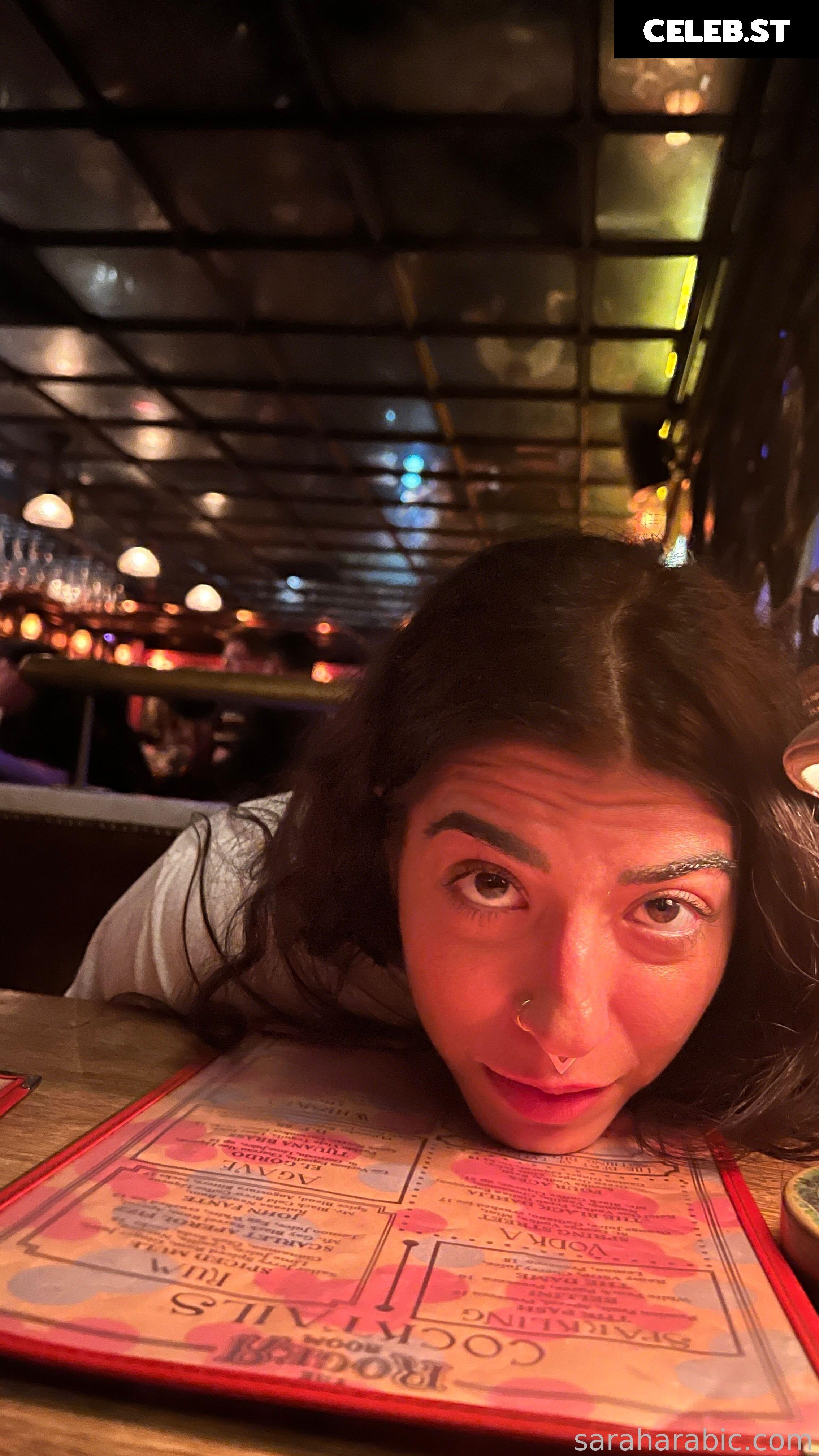 SarahArabic Image 14653113