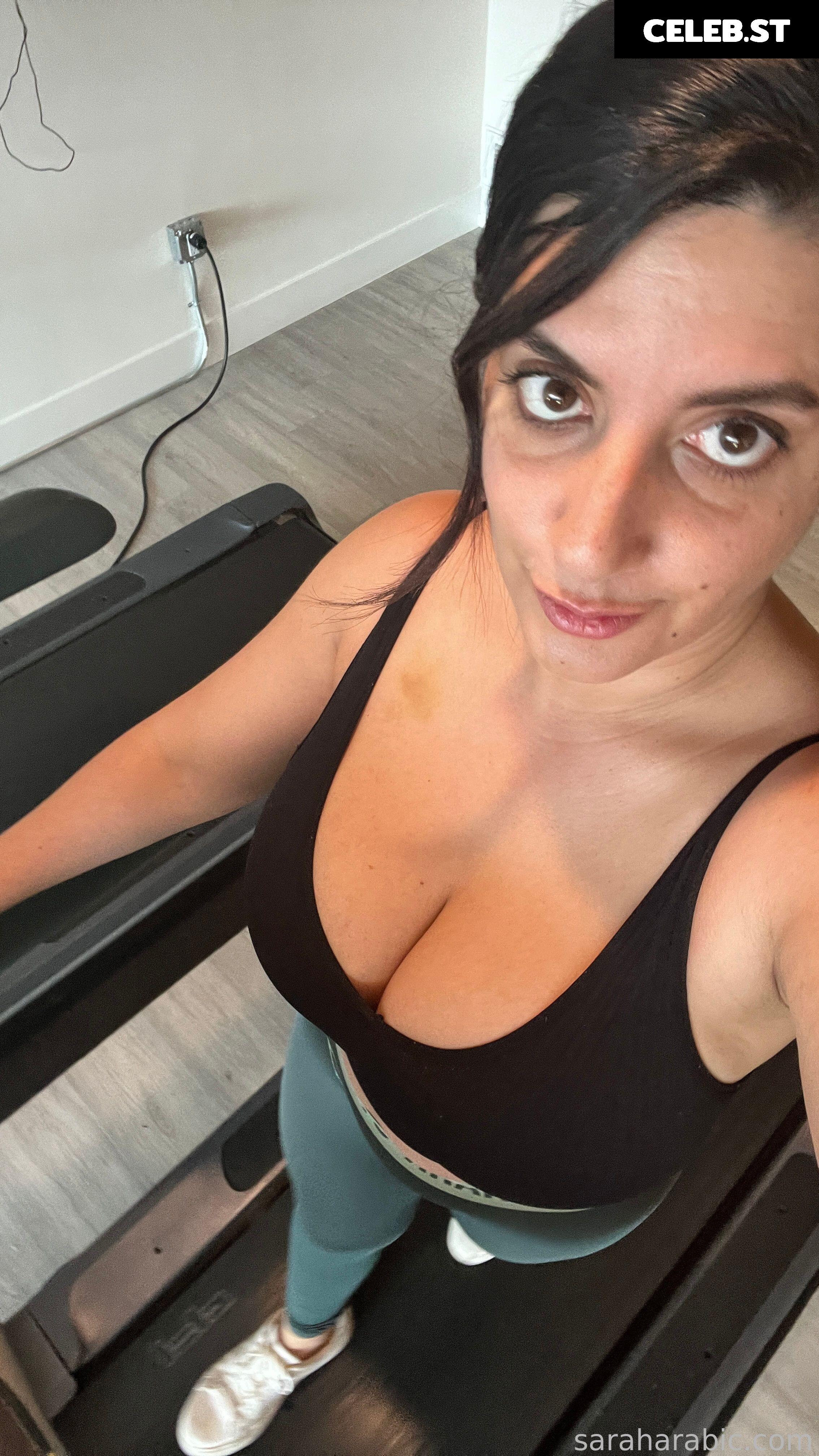 SarahArabic Image 14653137