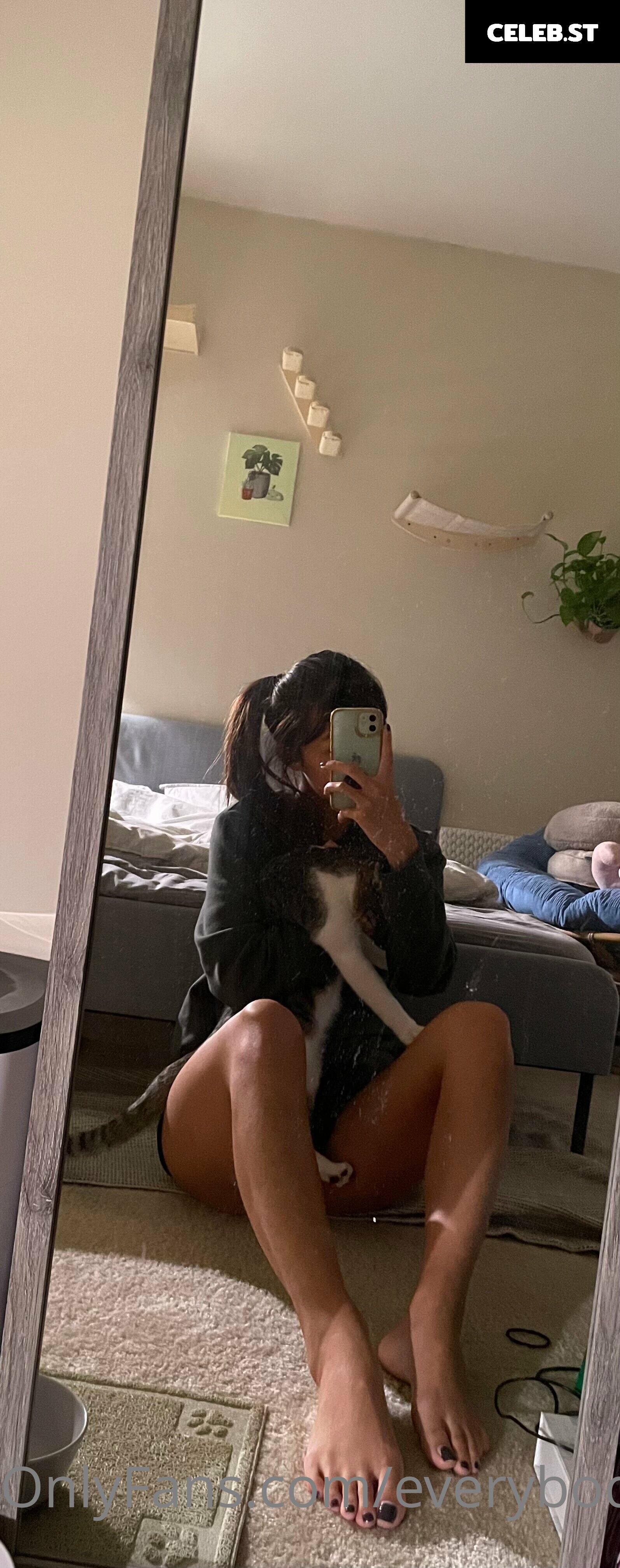 everybodymeow Image 14653156