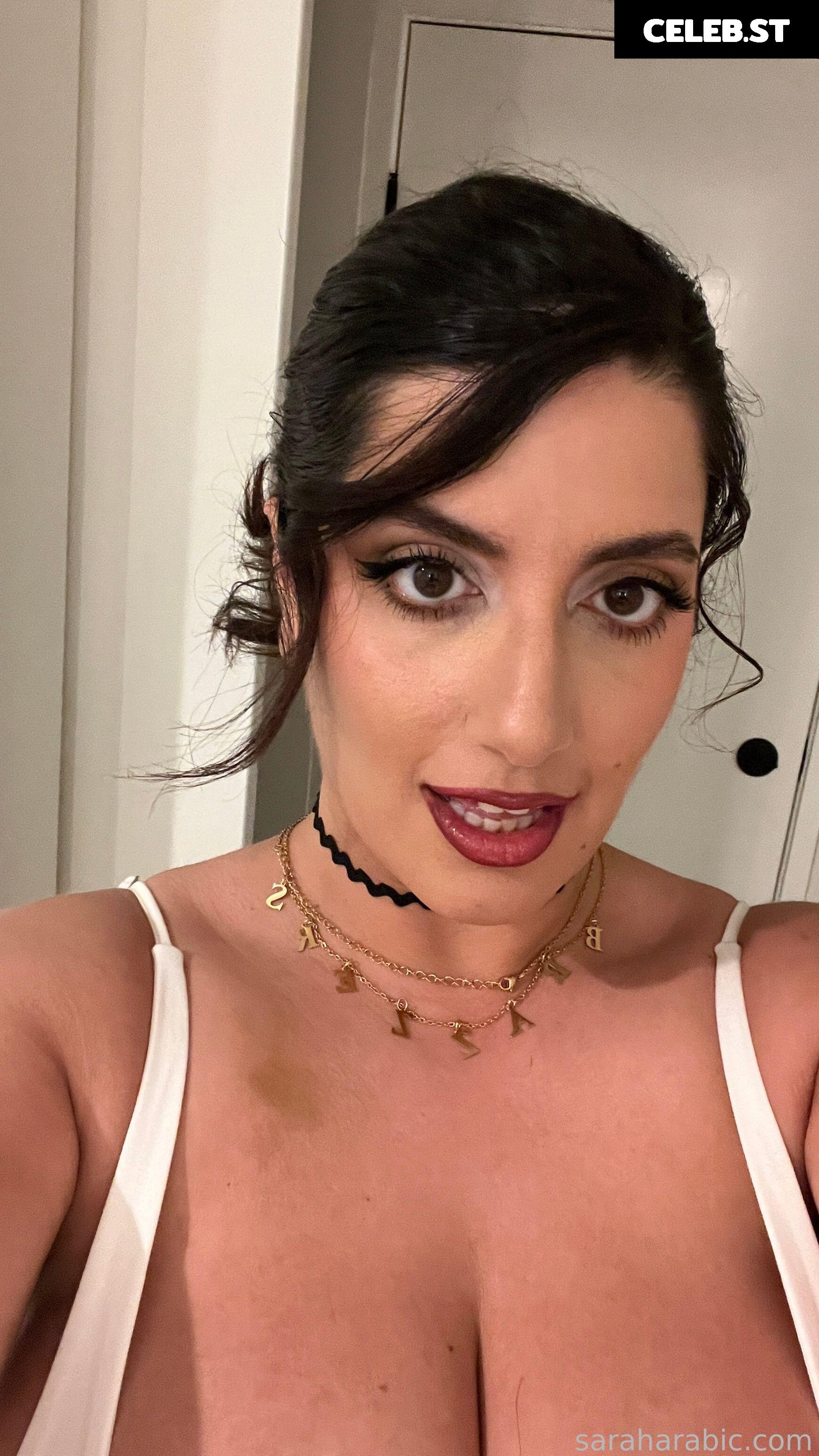 SarahArabic Image 14653148