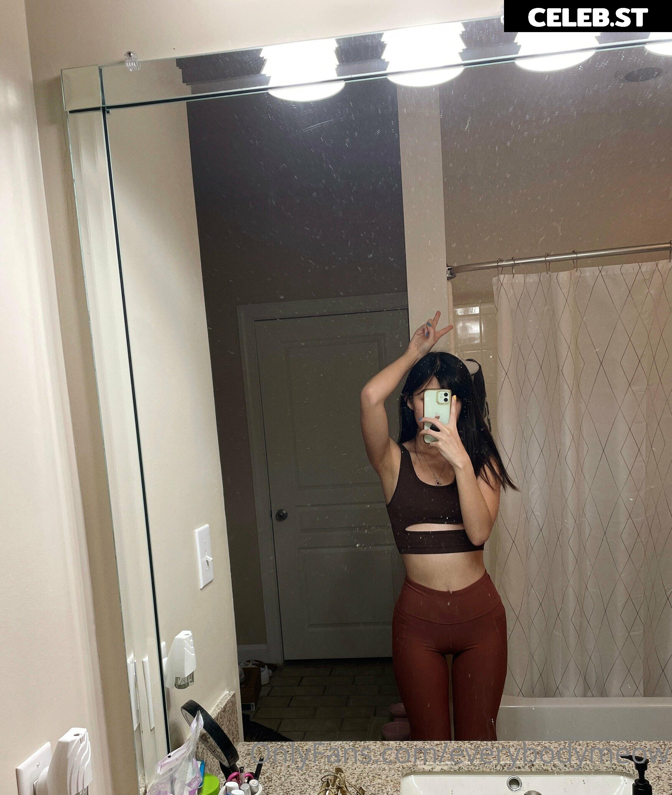 everybodymeow Image 14653393