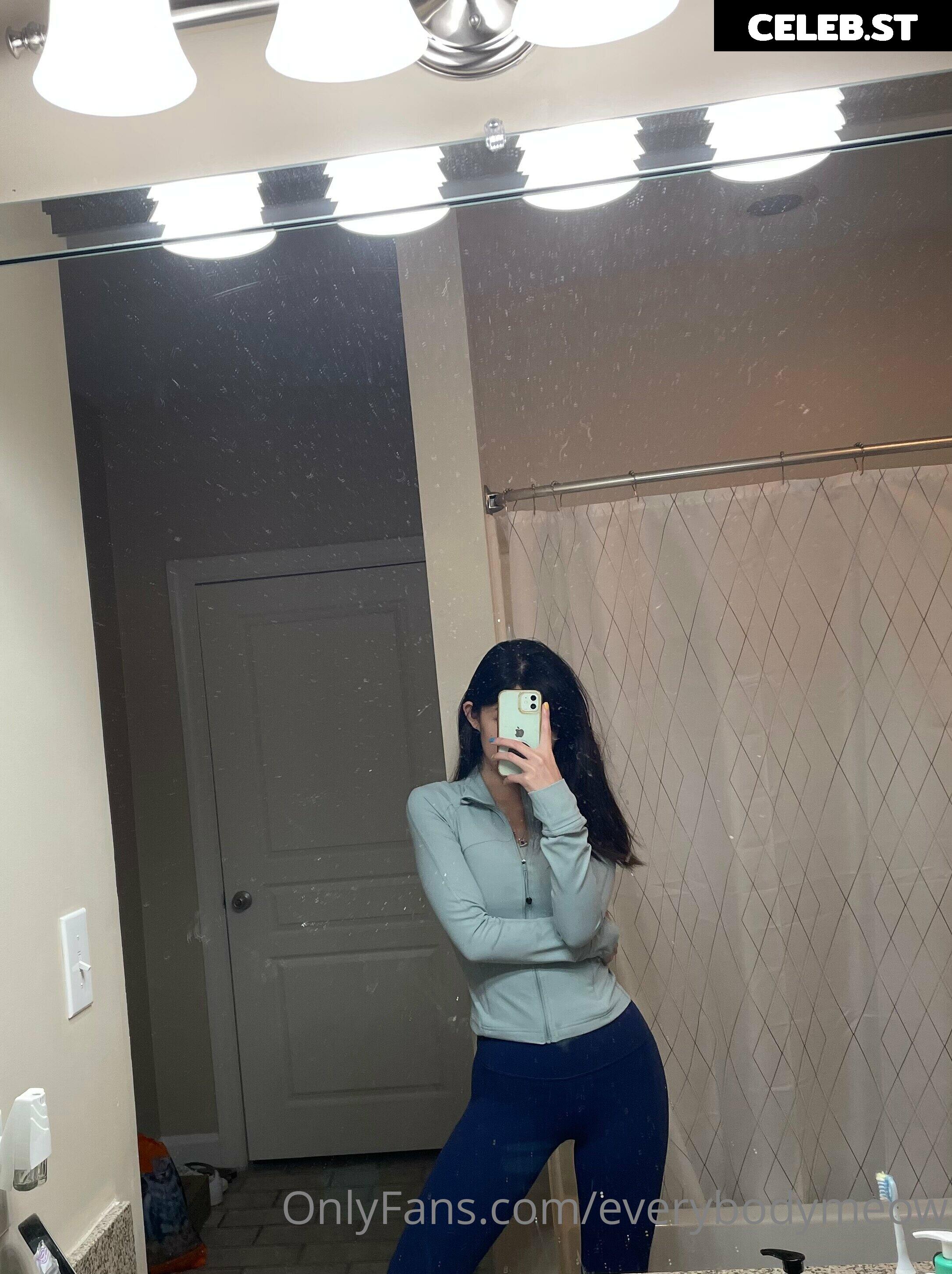 everybodymeow Image 14653390