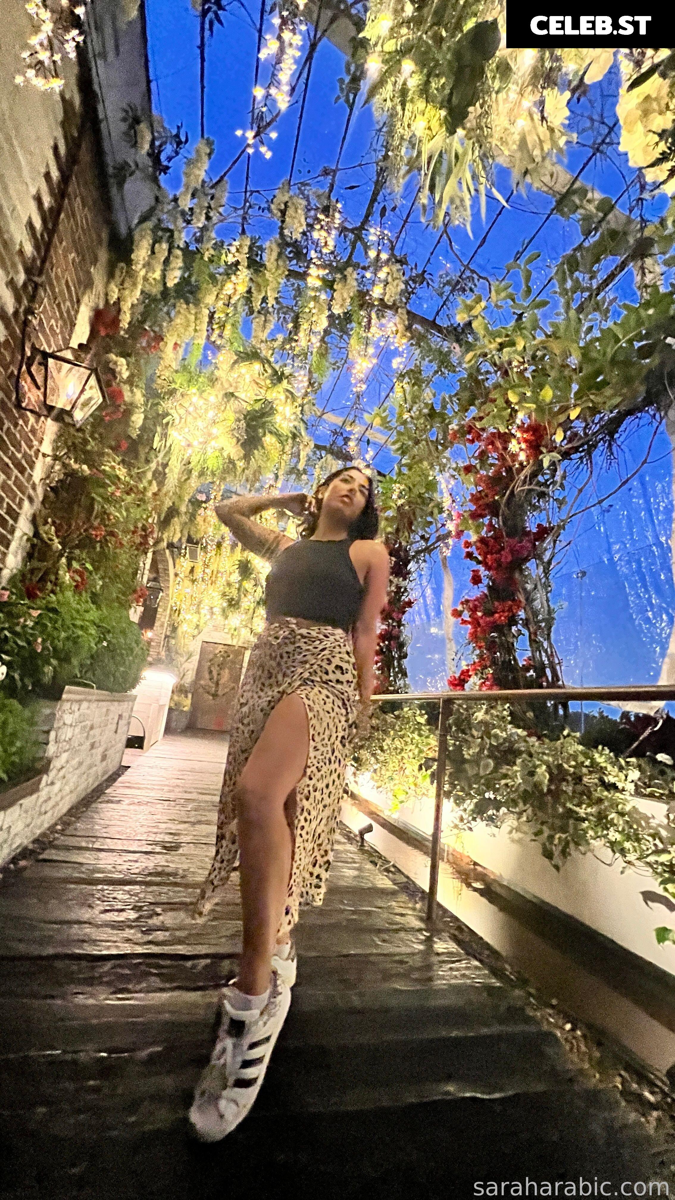 SarahArabic Image 14653346