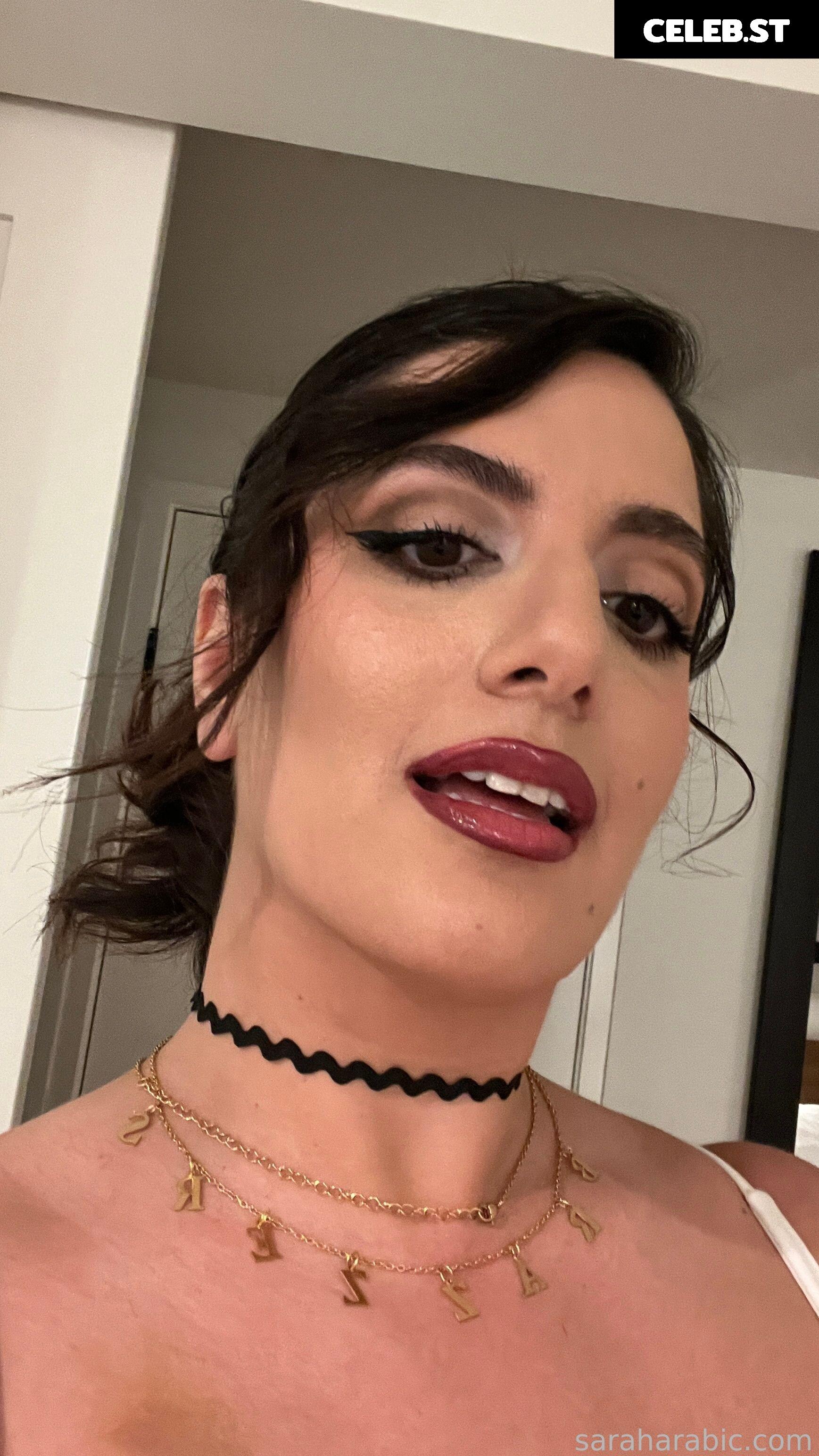 SarahArabic Image 14653262