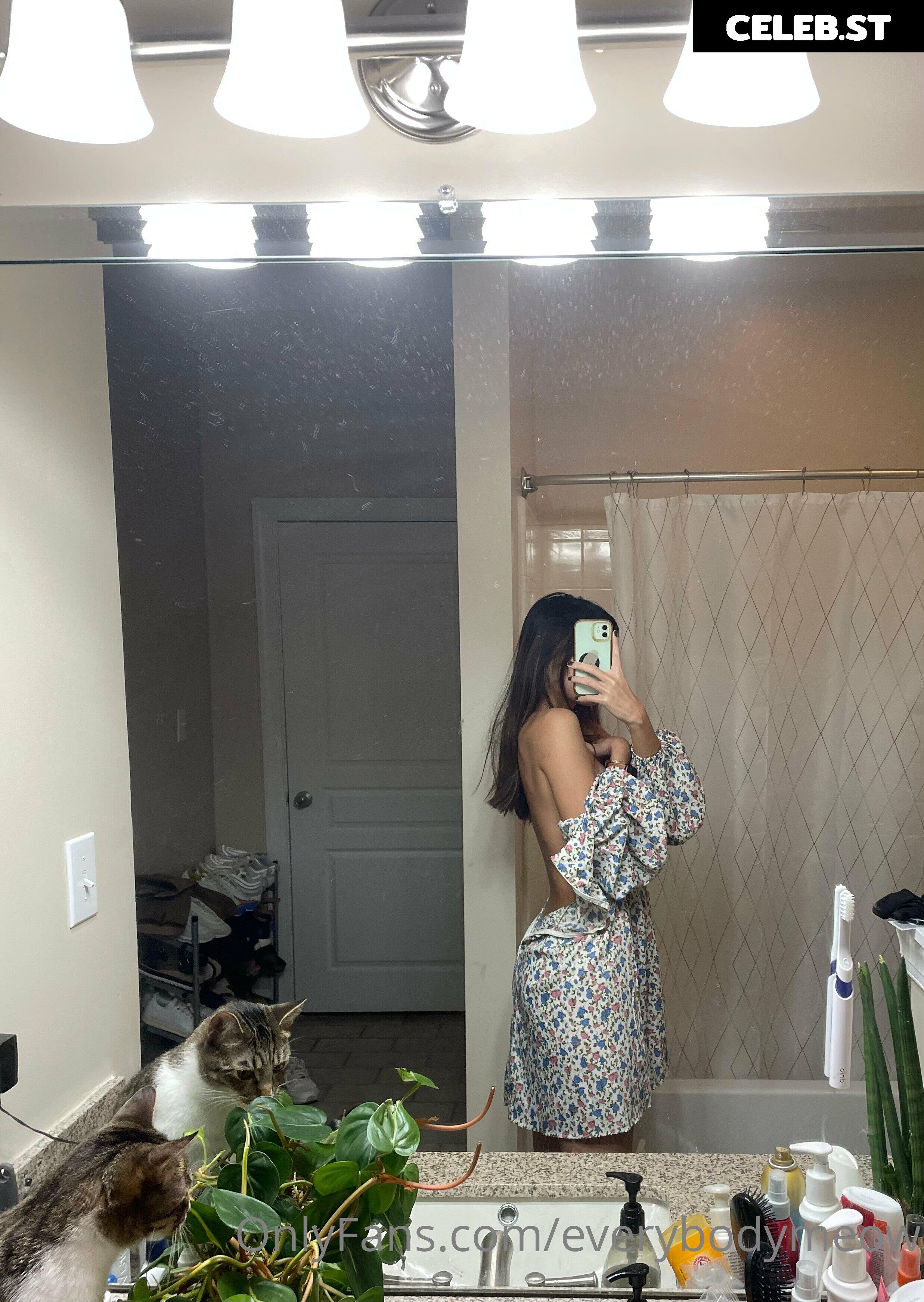 everybodymeow Image 14652930